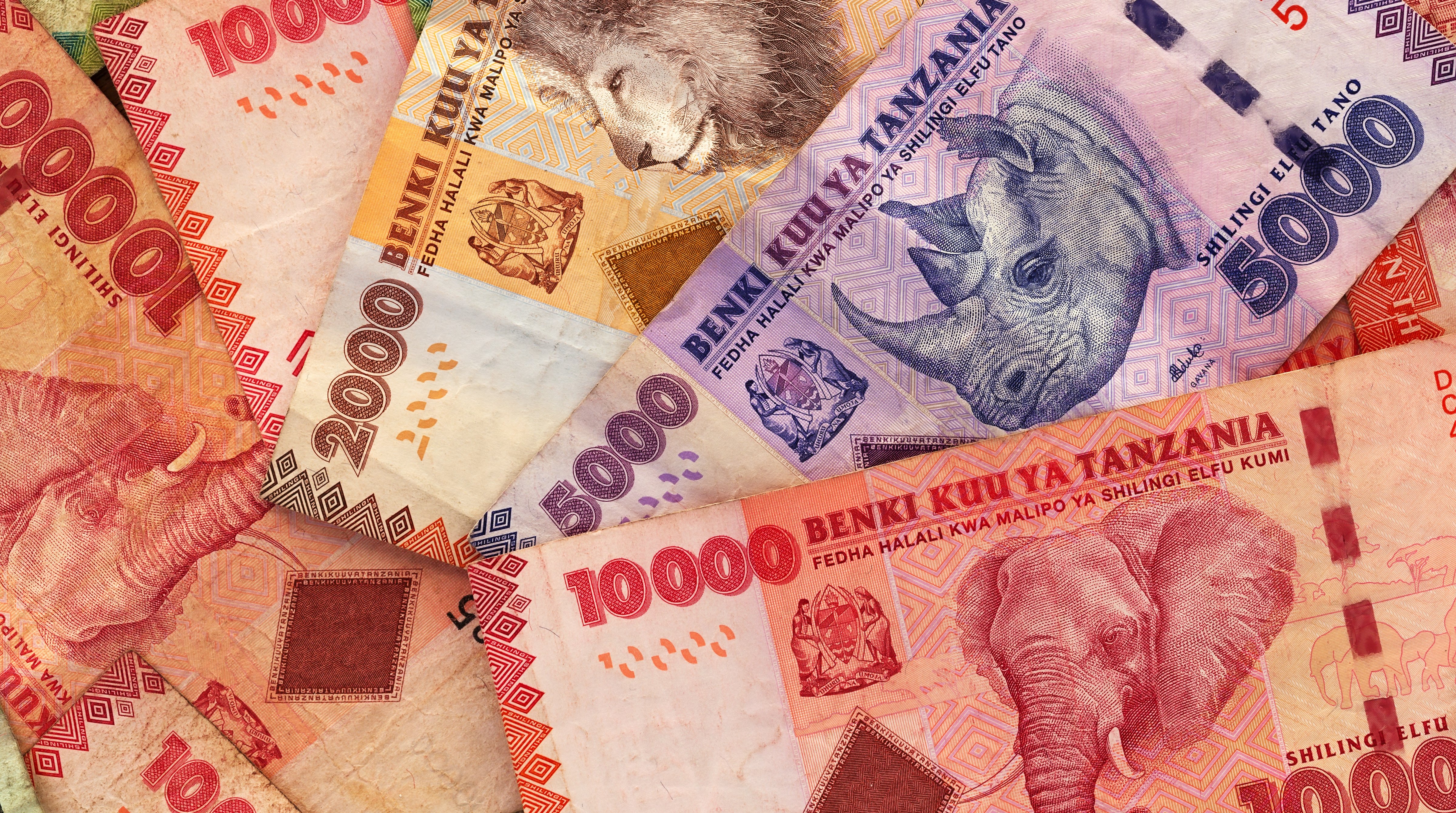 Geld in Tanzania