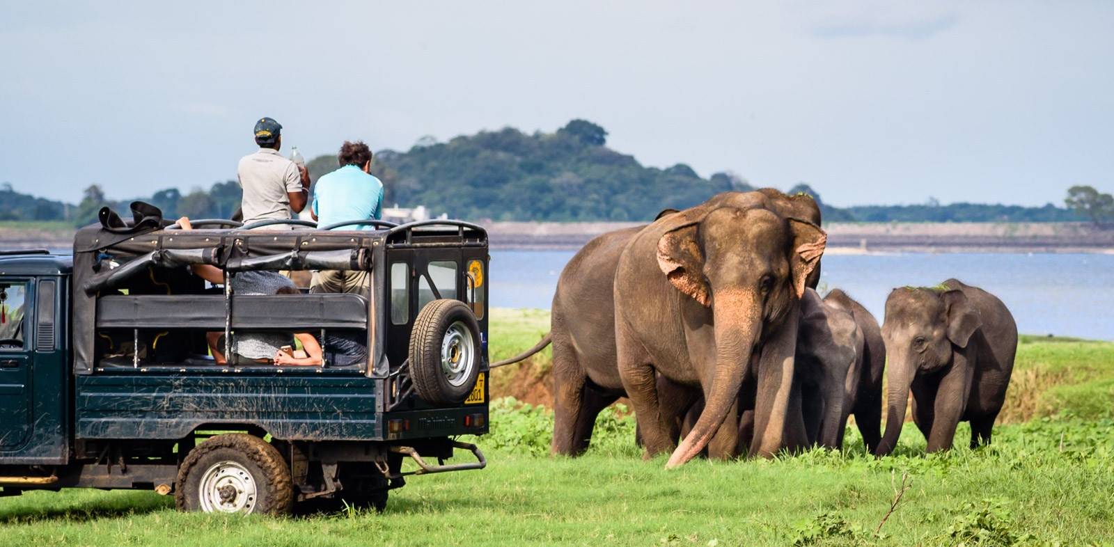 Yala National Park gamedrive