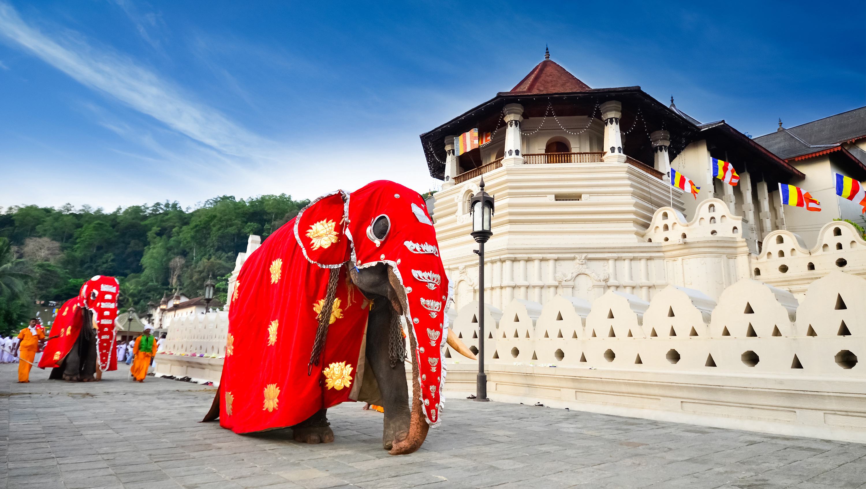 Kandy Perahera festival