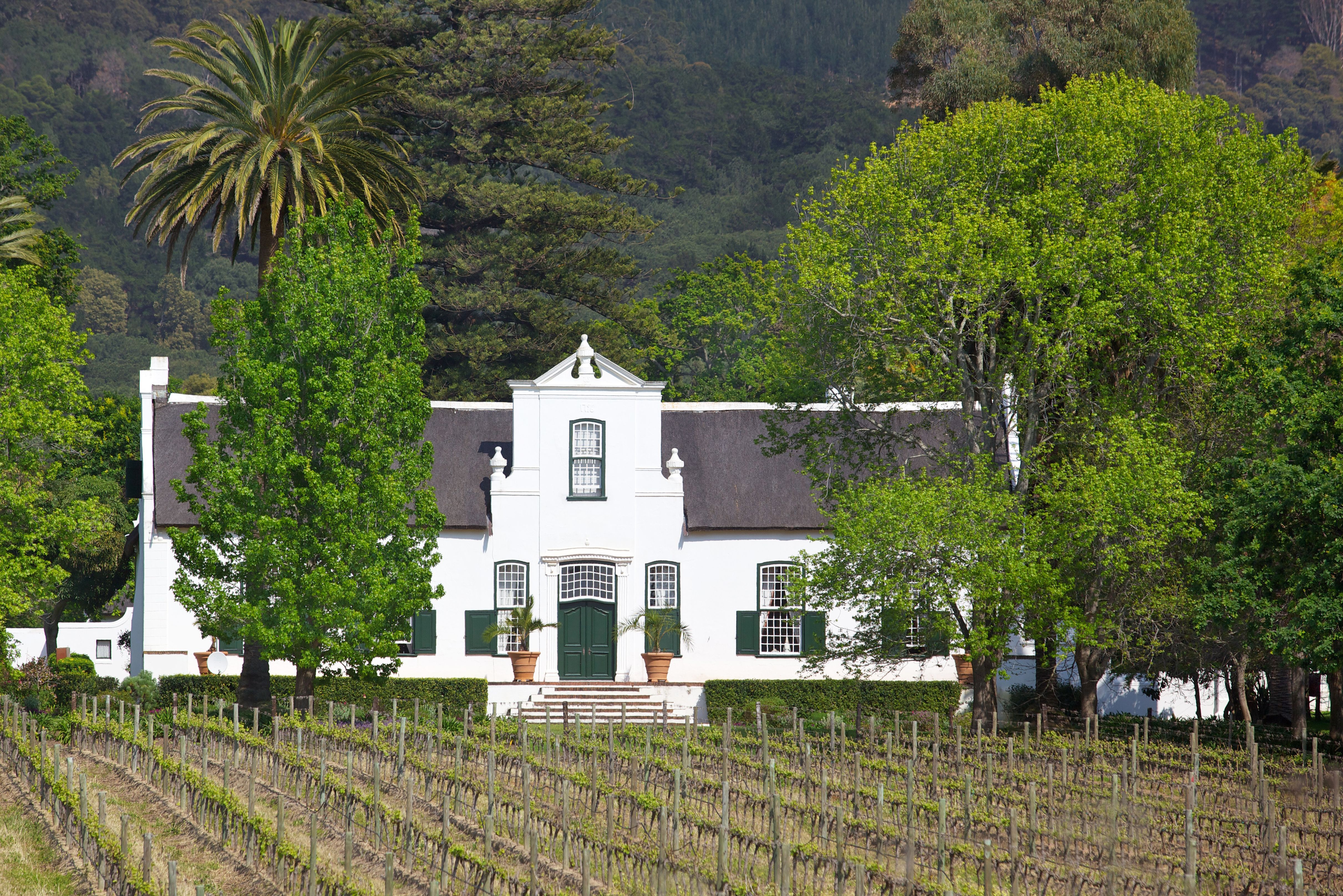 Kaaps Wijnhuis Stellenbosch in Zuid-Afrika