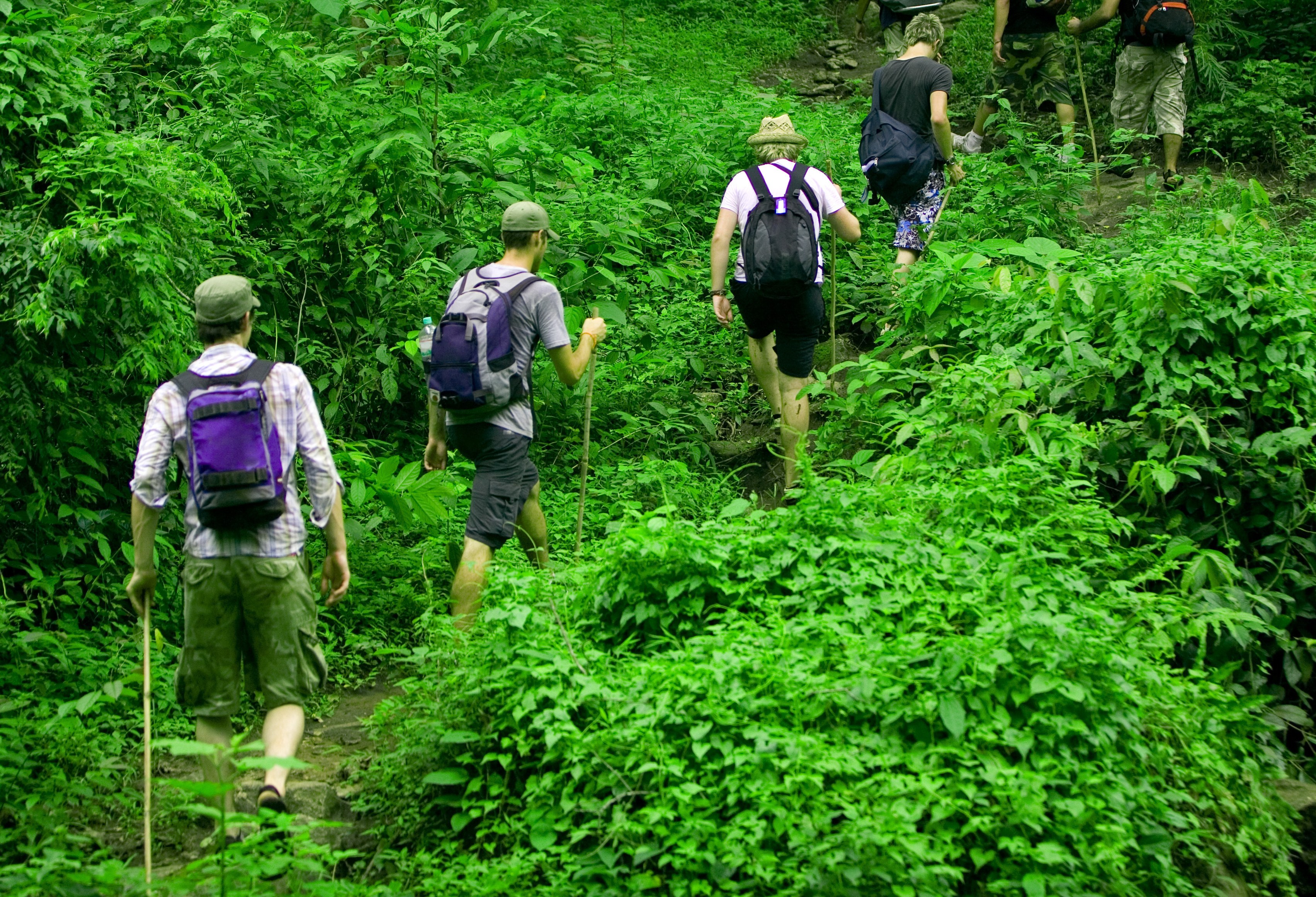 Jungle trekking in de omgeving van Chiang Mai