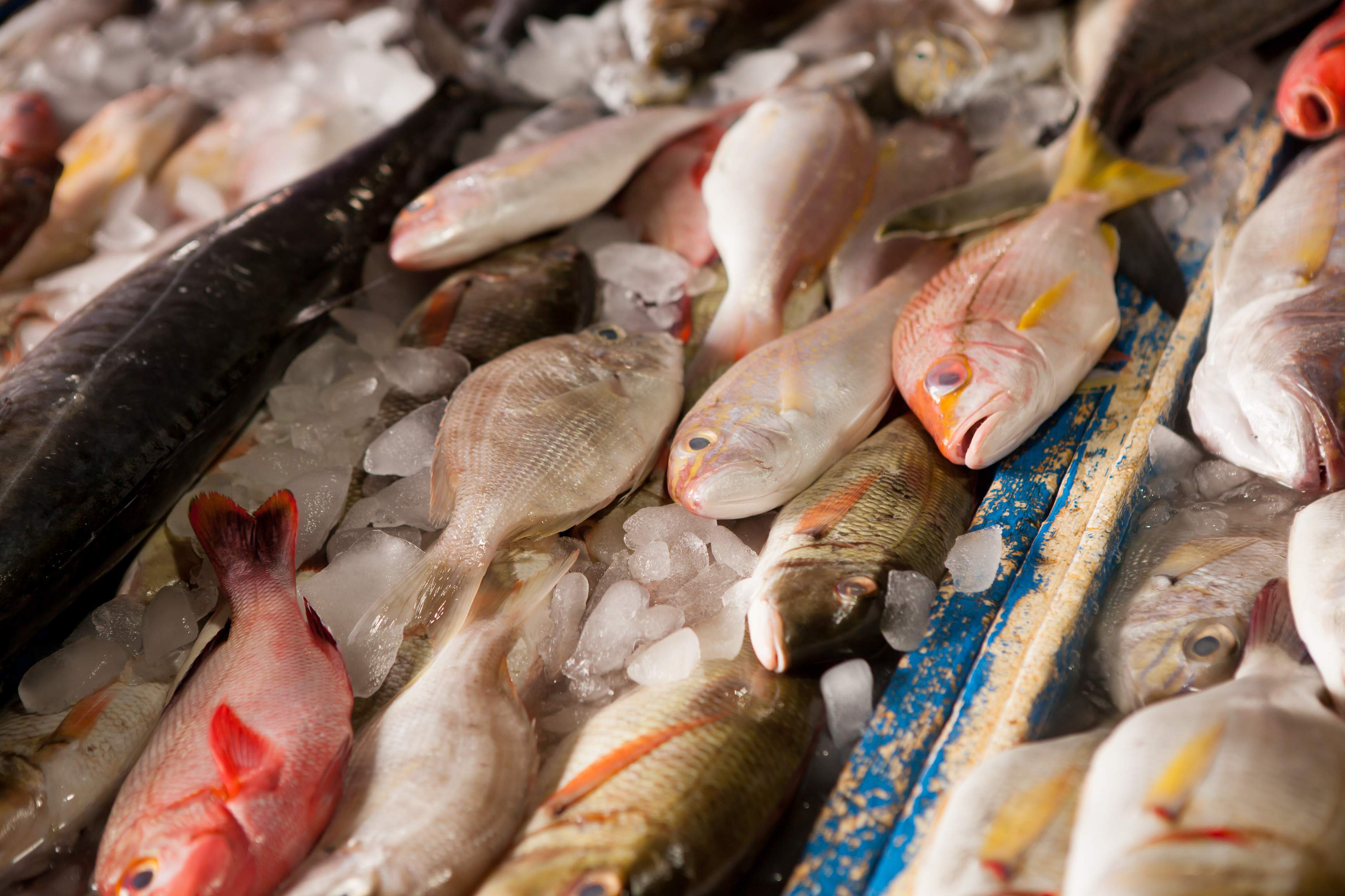 indonesie bali jimbaran verse vis barbecue