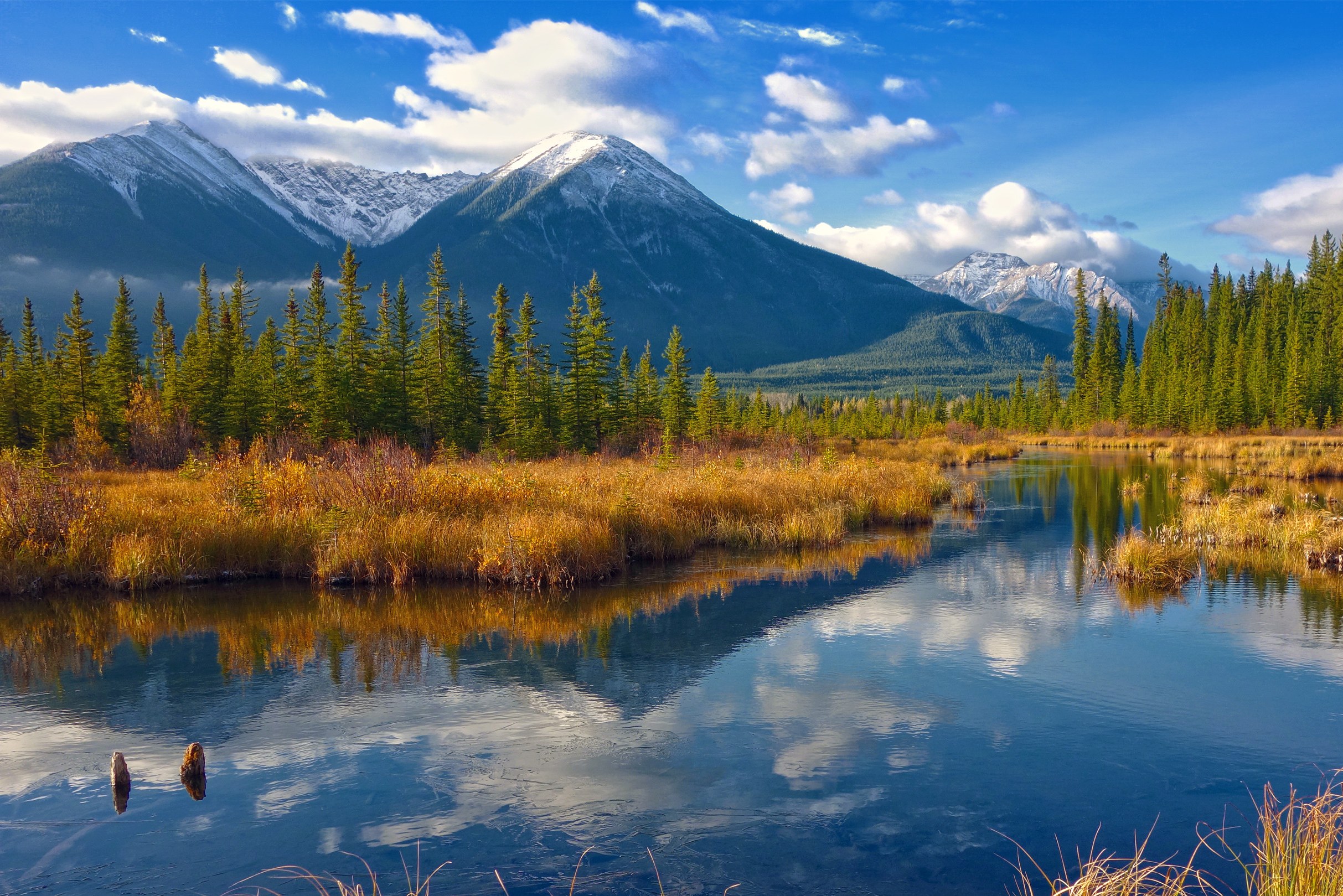 Natuur in het Jasper National Park