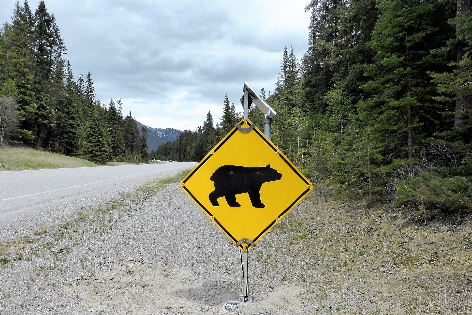 Verkeersbord beer Canada