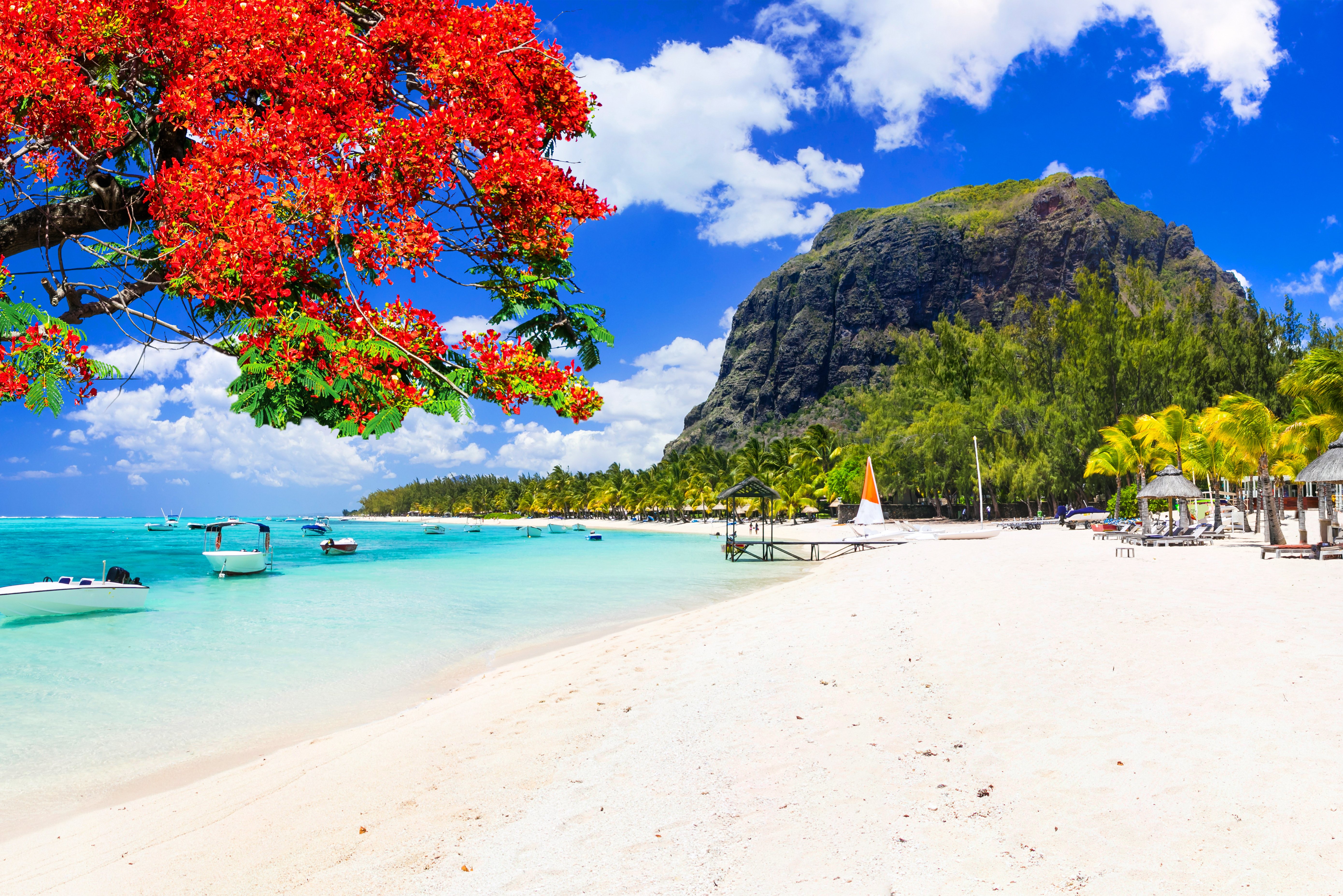 Strand in Mauritius