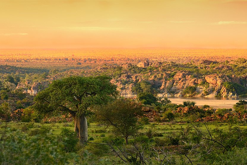 Mapungubwe National Park Limpopo in Zuid-Afrika