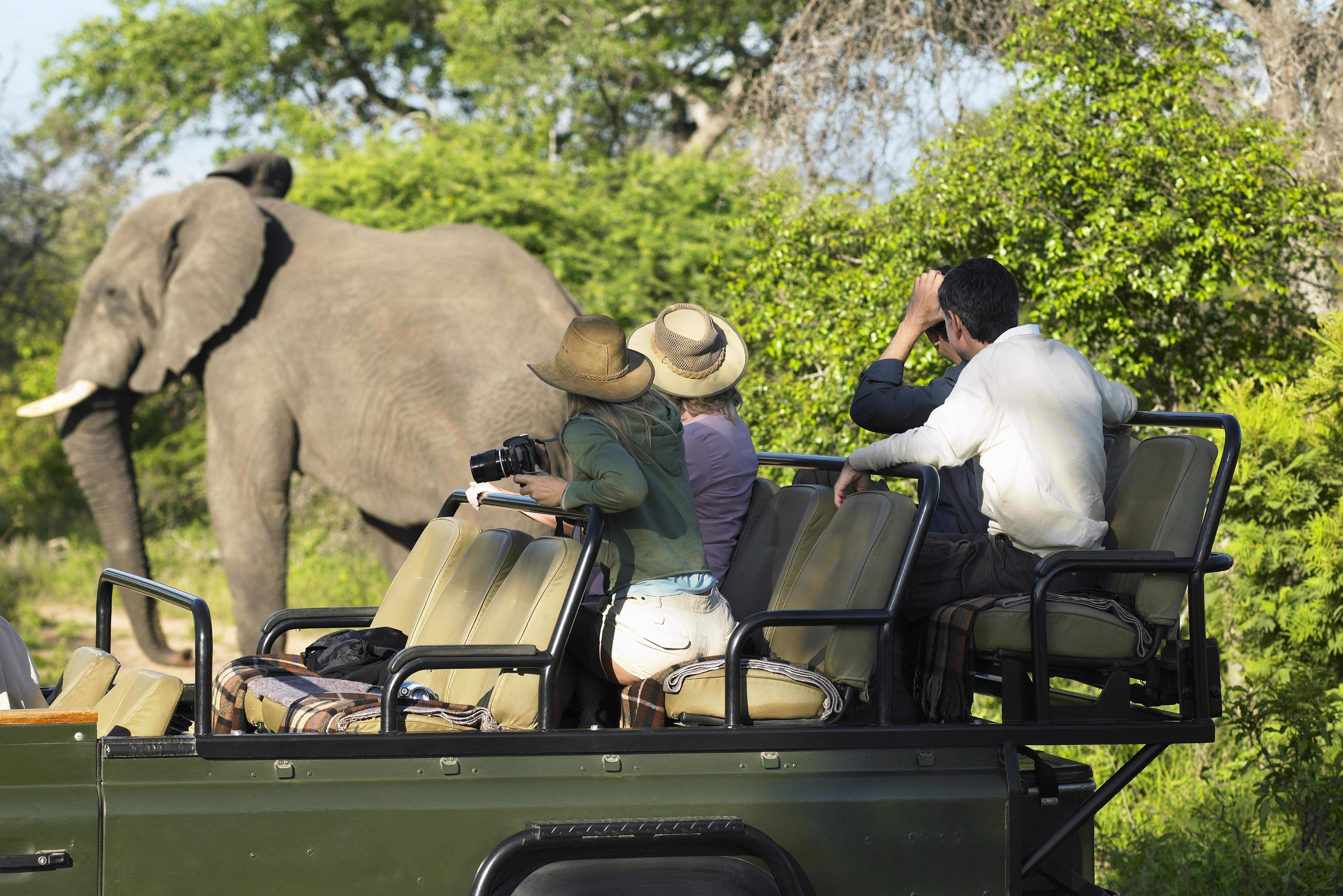Game drive Kruger Zuid-Afrika