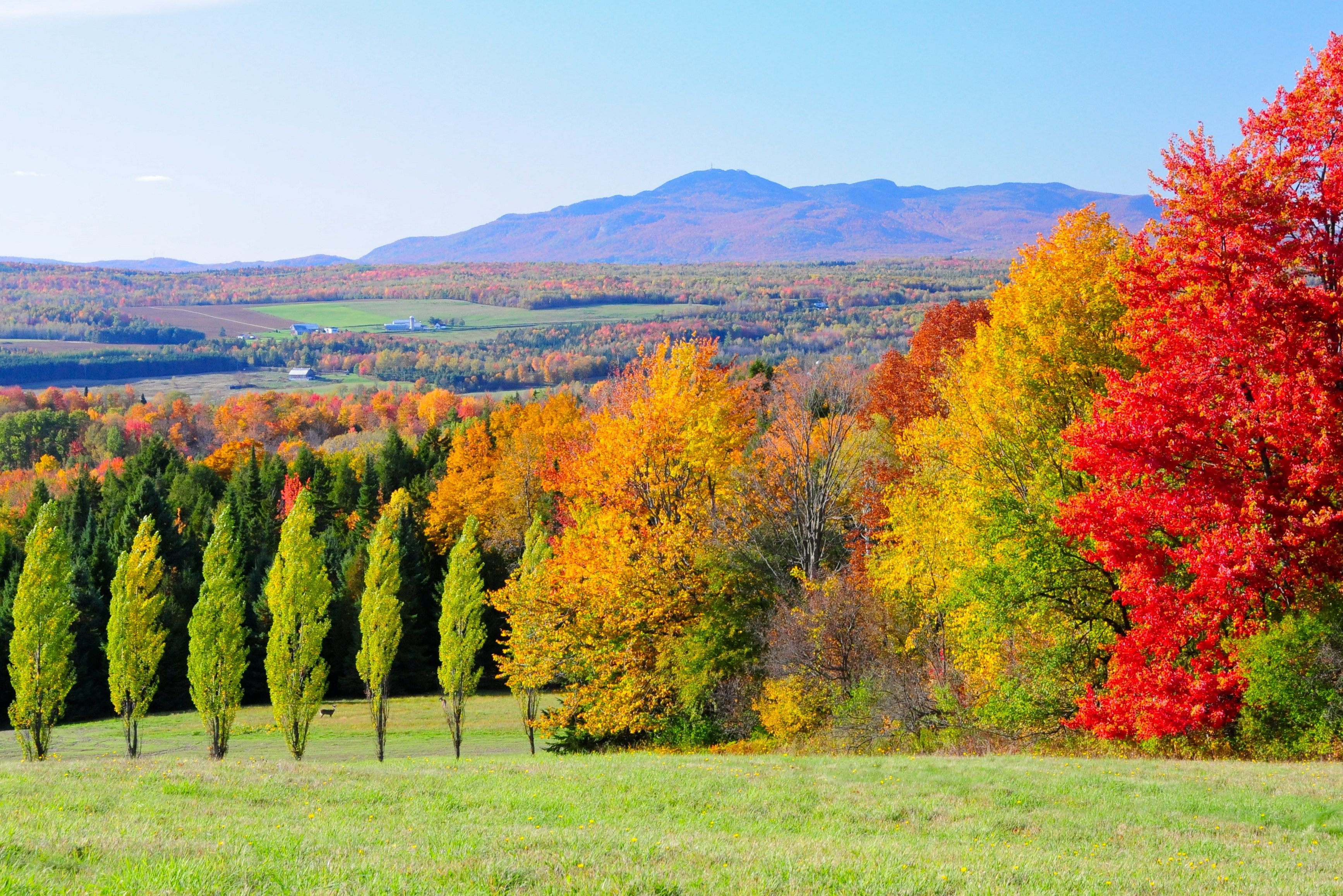 Landschap Québec provincie