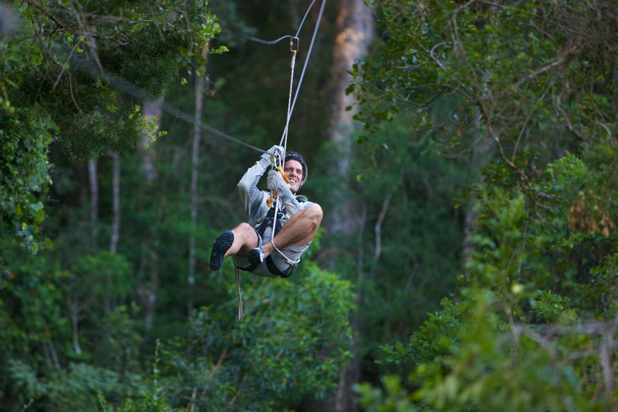 Canopy Tour door de bossen van Tsitsikamma Zuid-Afrika