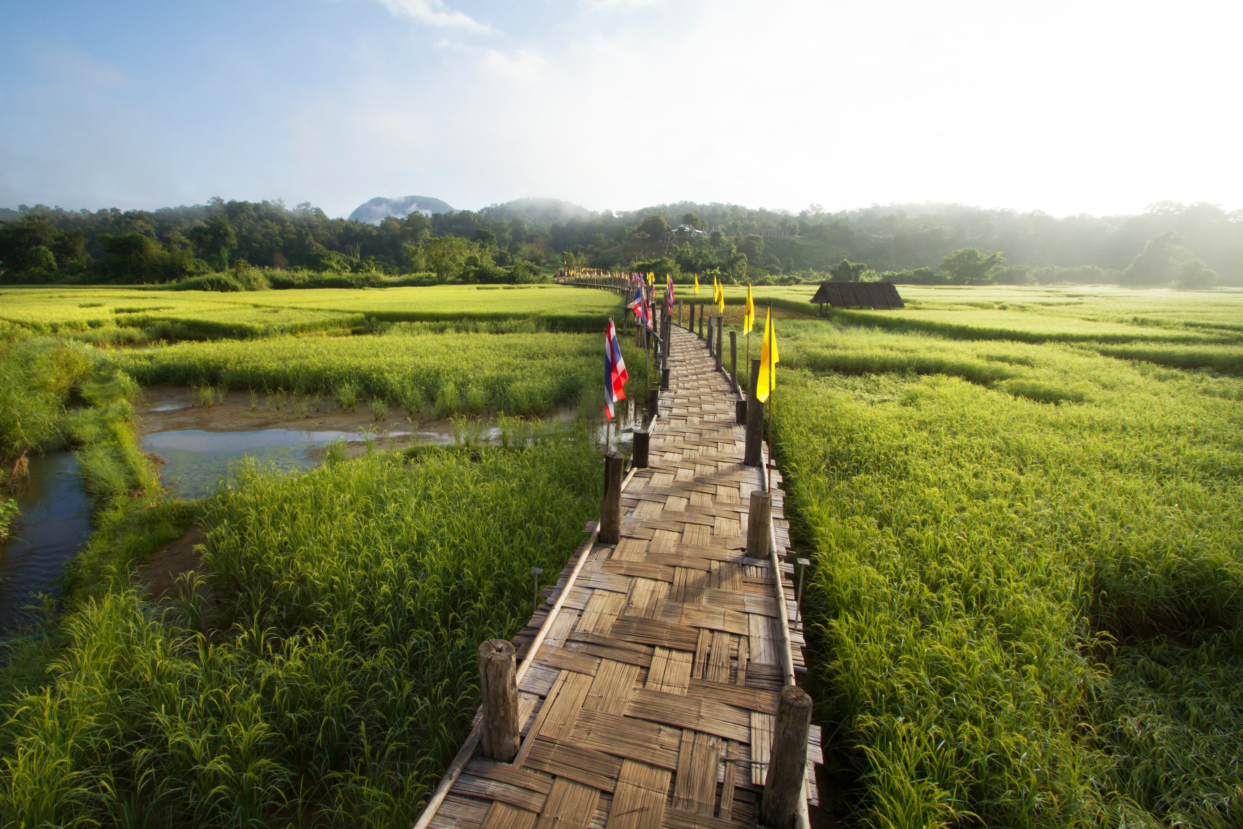 Bamboe brug in Mae Hong Son provincie, Thailand