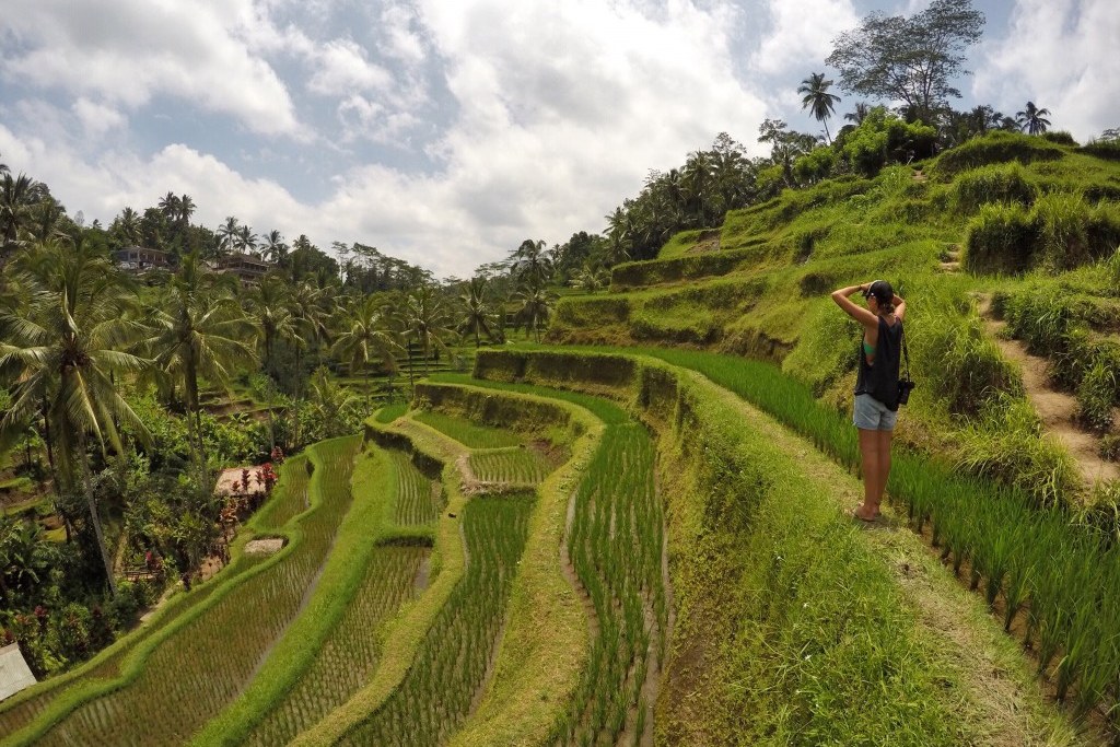 Wandelen in de rijstvelden bij Ubud