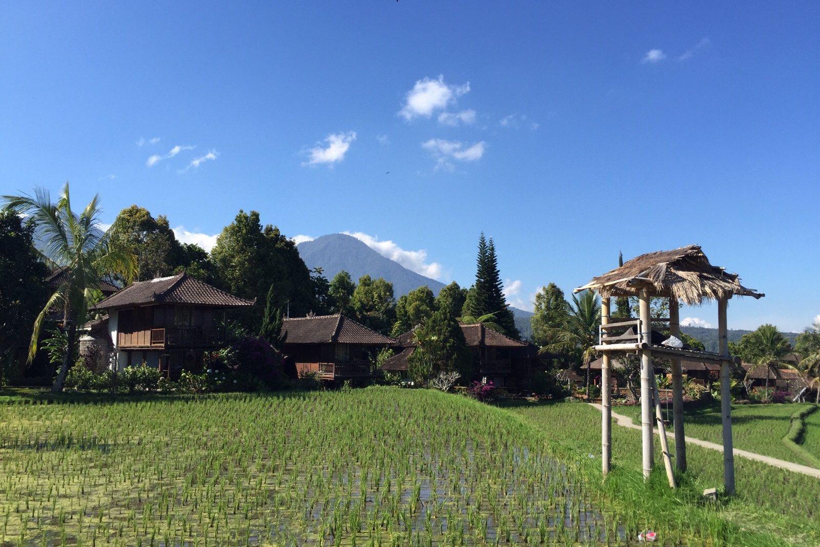 Puri Lumbung Cottages bij Munduk op Bali