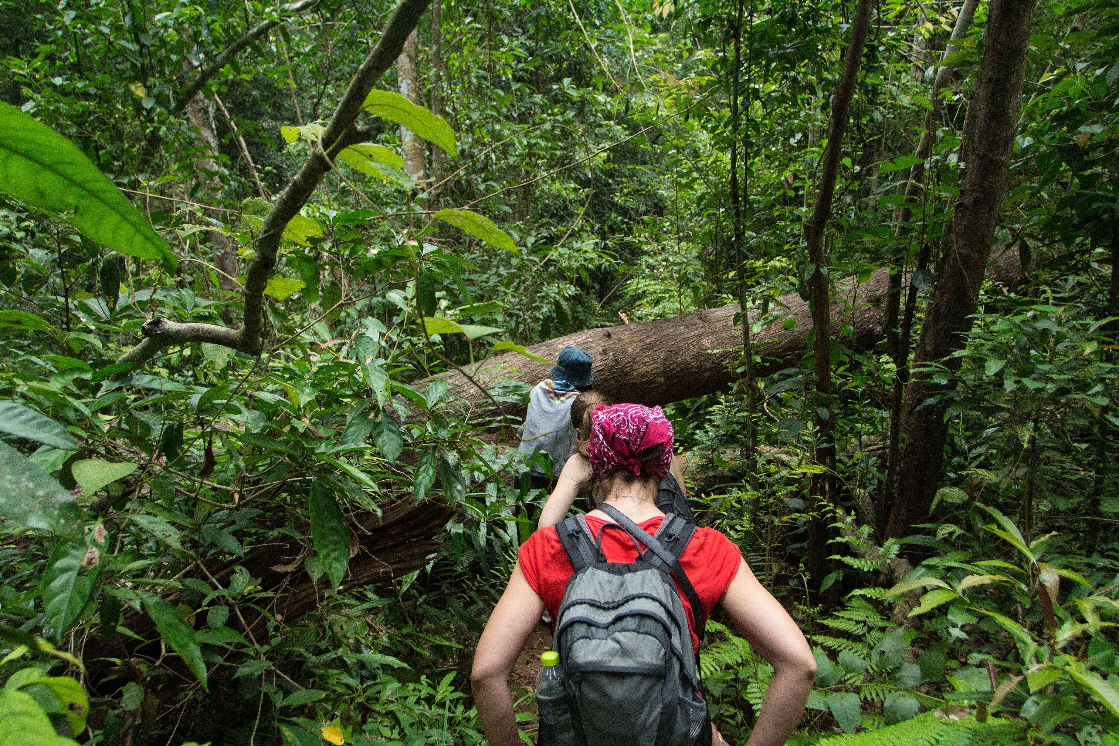 Trekking in het Khao Yai National Park, Thailand