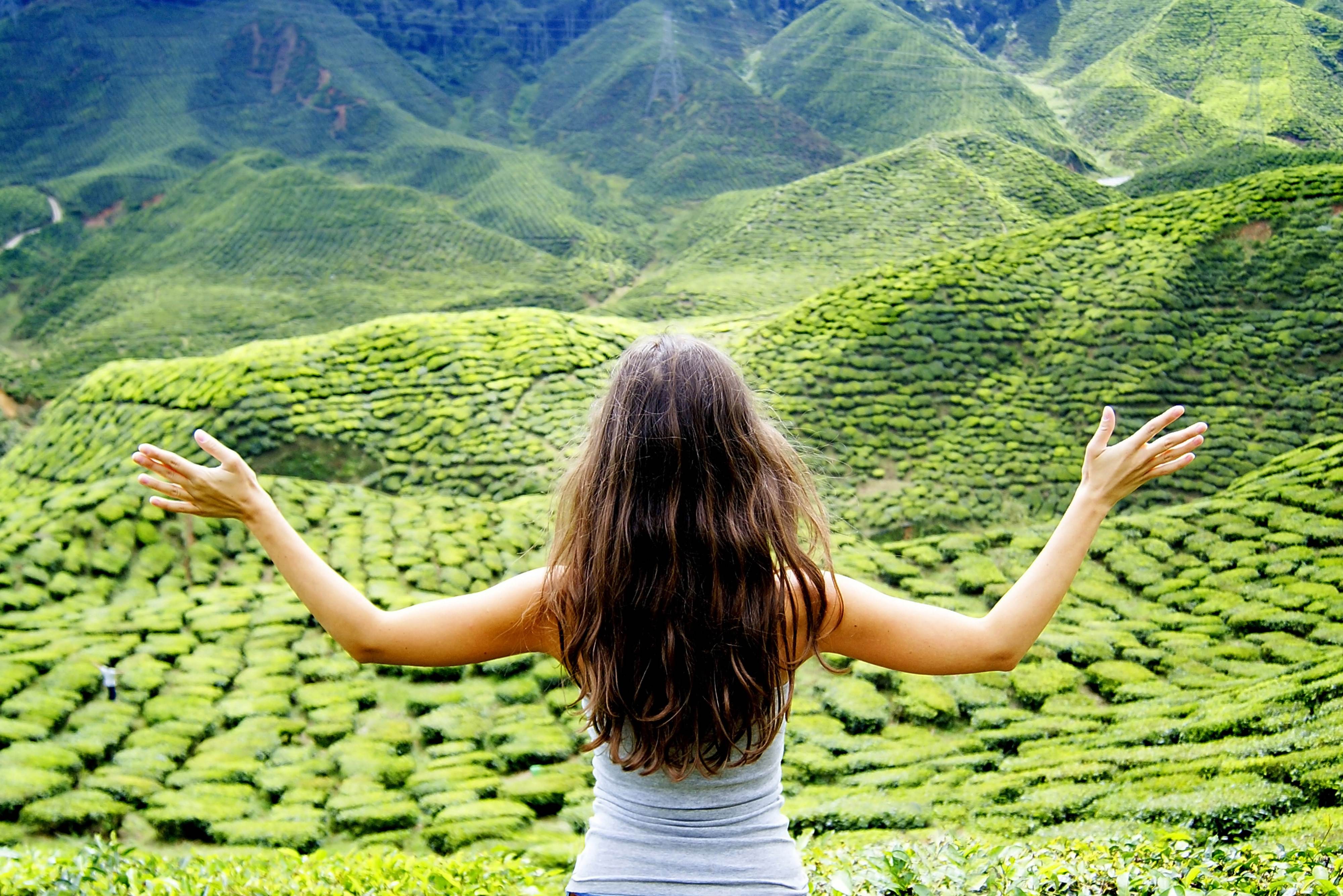 Uitzicht theeplantages Cameron Highlands