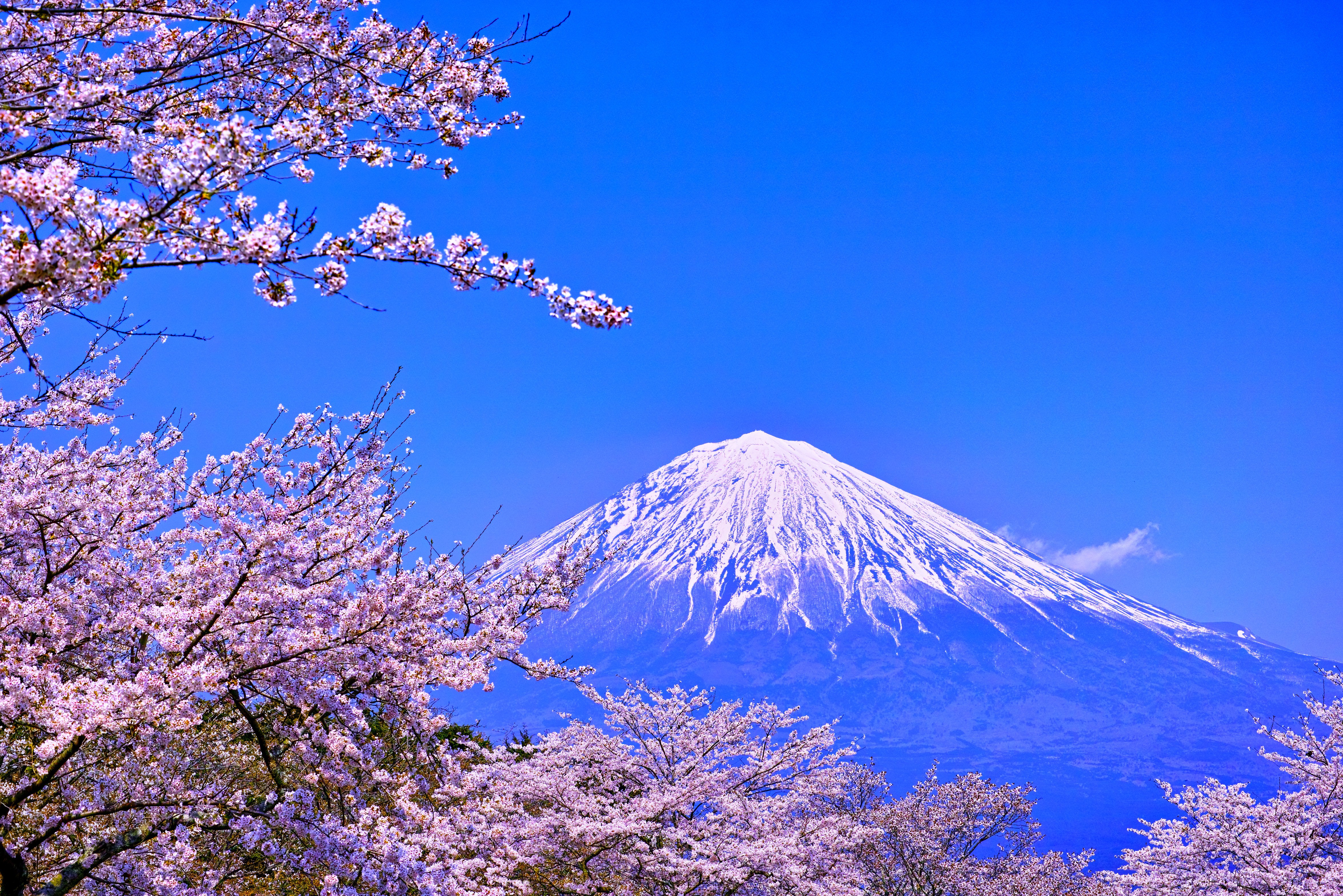 Mount Fuji in Japan
