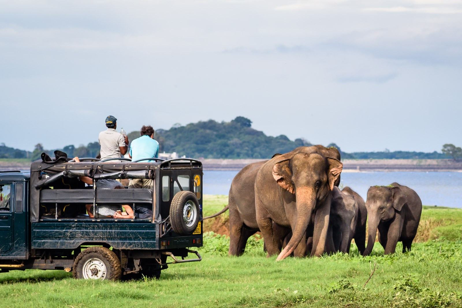 Game drive in Yala National Park in Sri Lanka