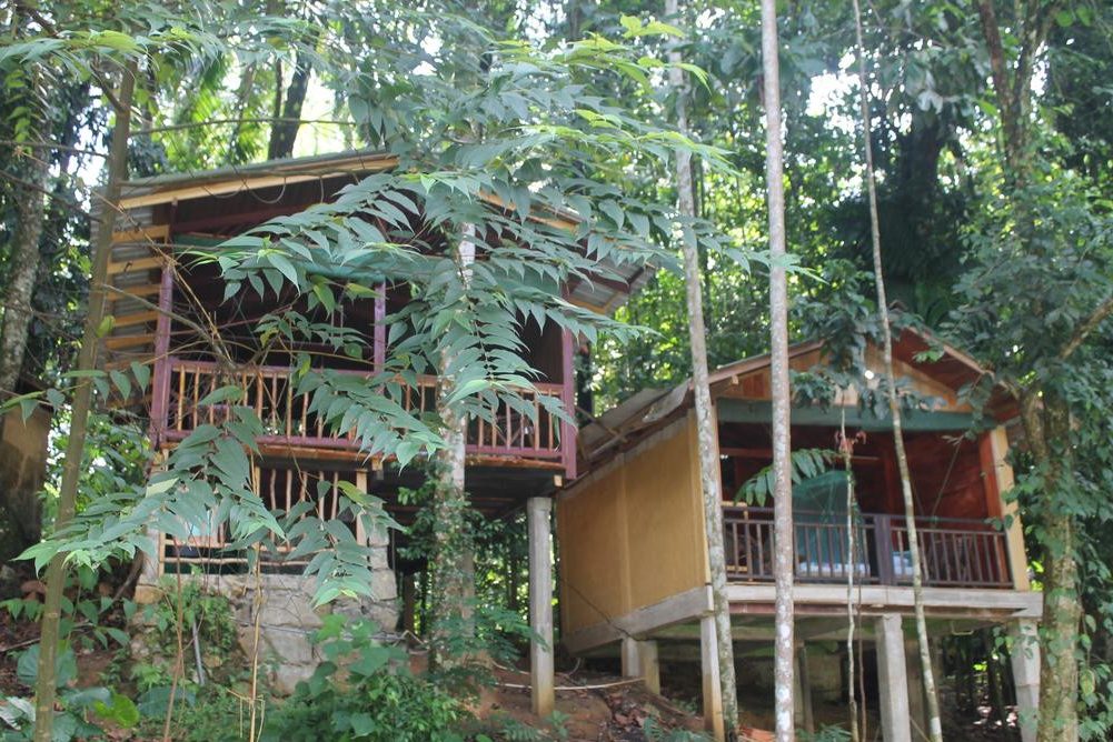 Rafters Retreat boomhut in Kitagalu