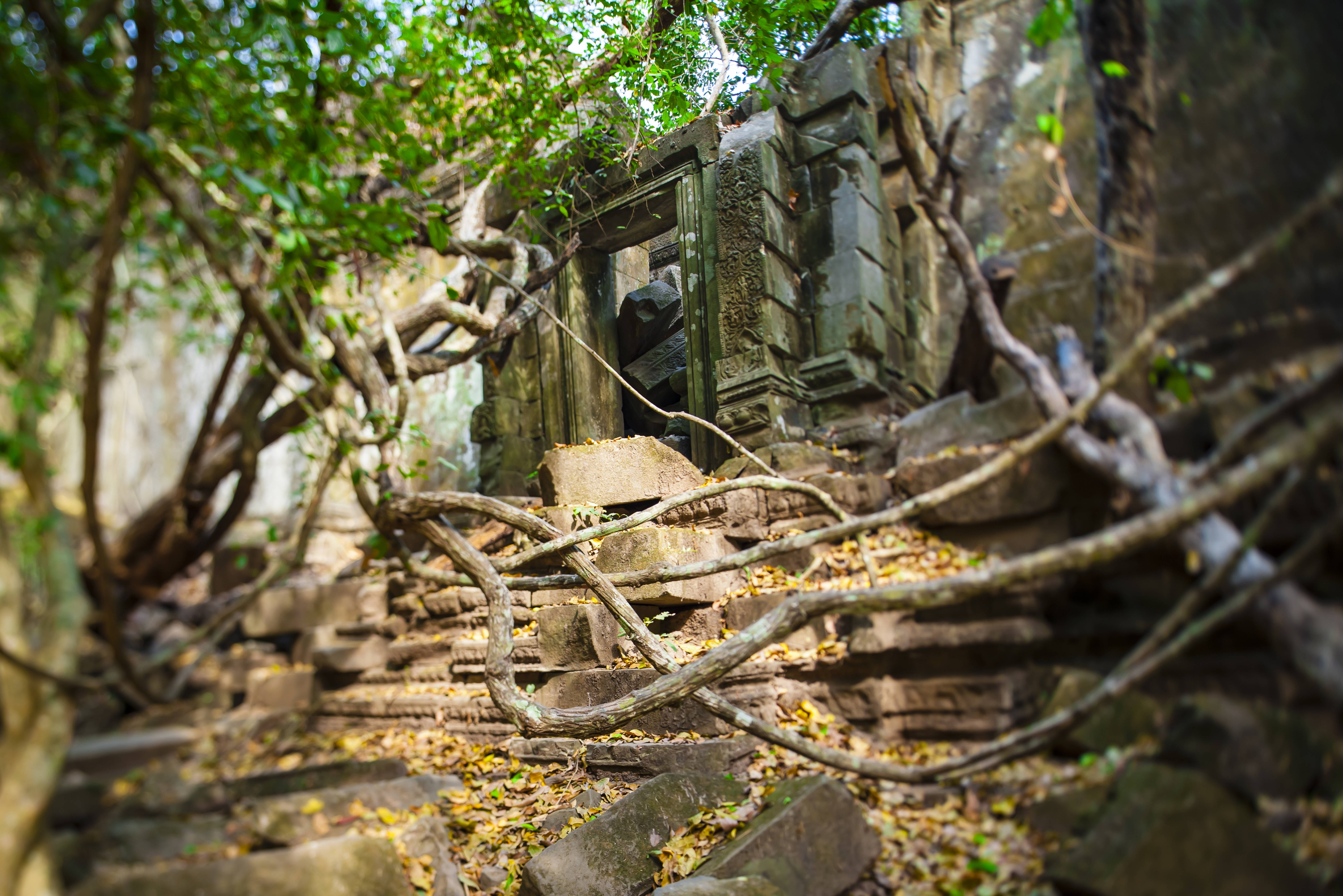 Beng Mealea in het Angkor tempelcomplex in Cambodja