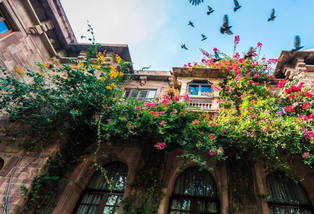 Ranbanka Palace Hotel Jodhpur