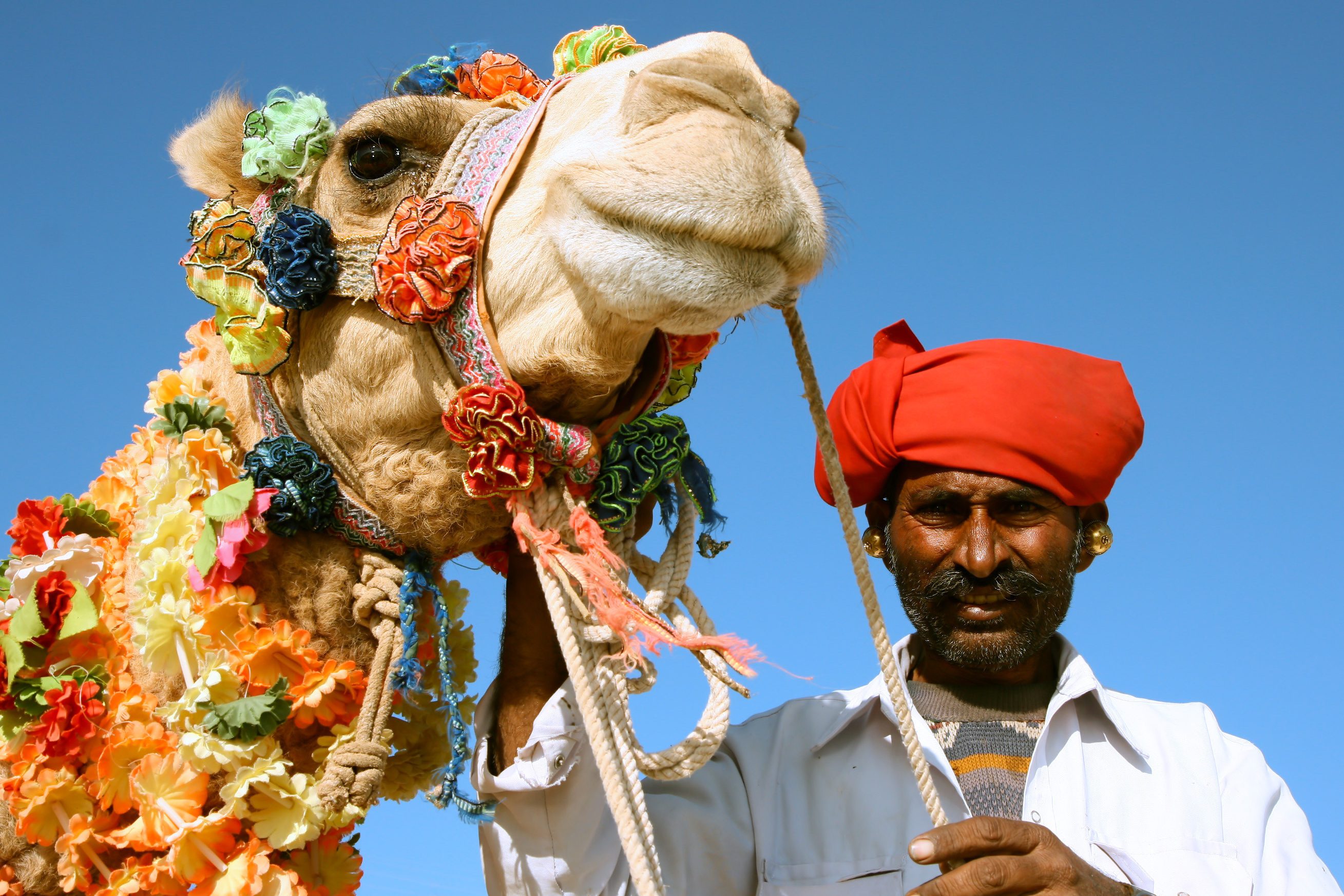 Man met kameel in Jaisalmer in de woestijn