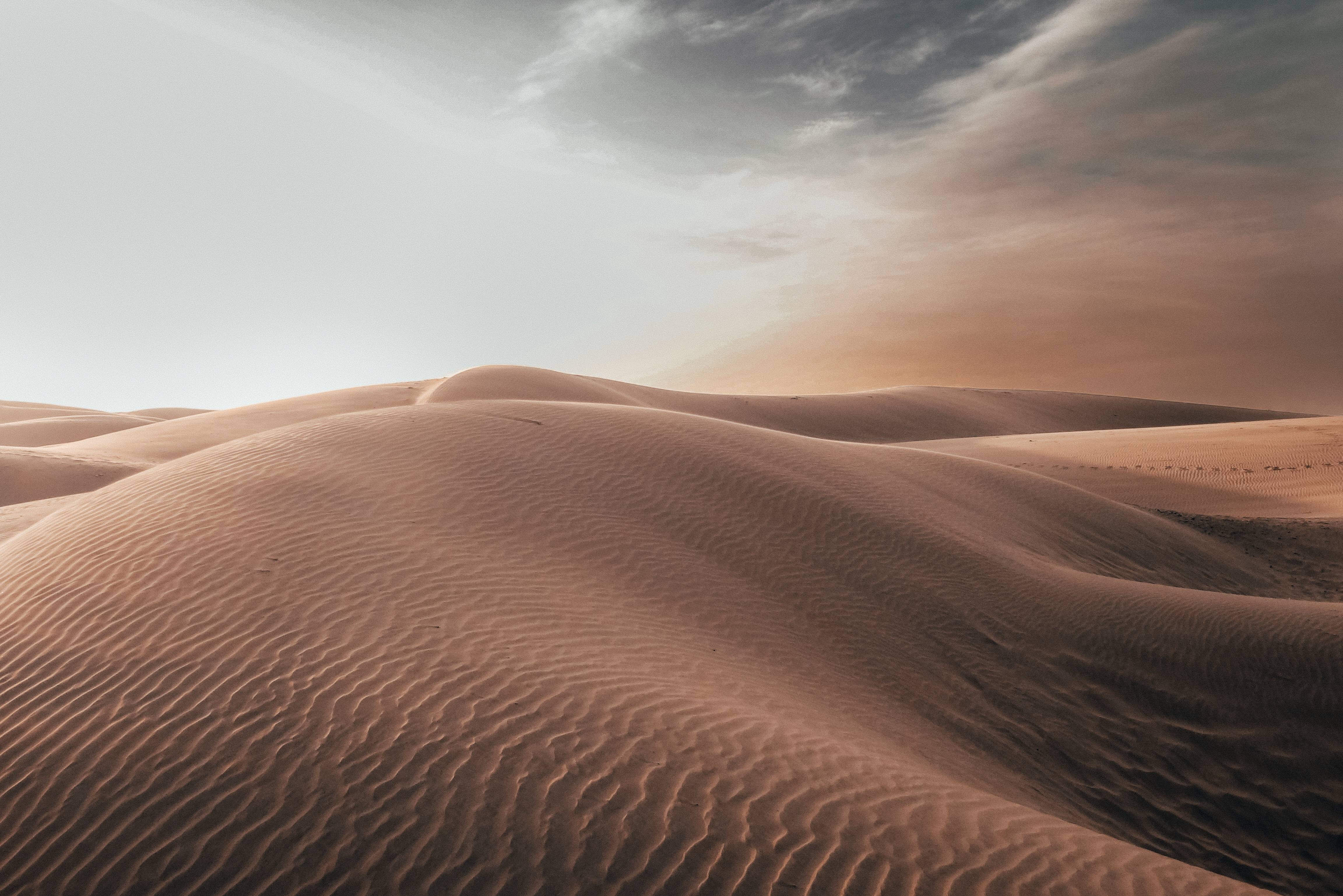 Thar woestijn bij Jaisalmer in India