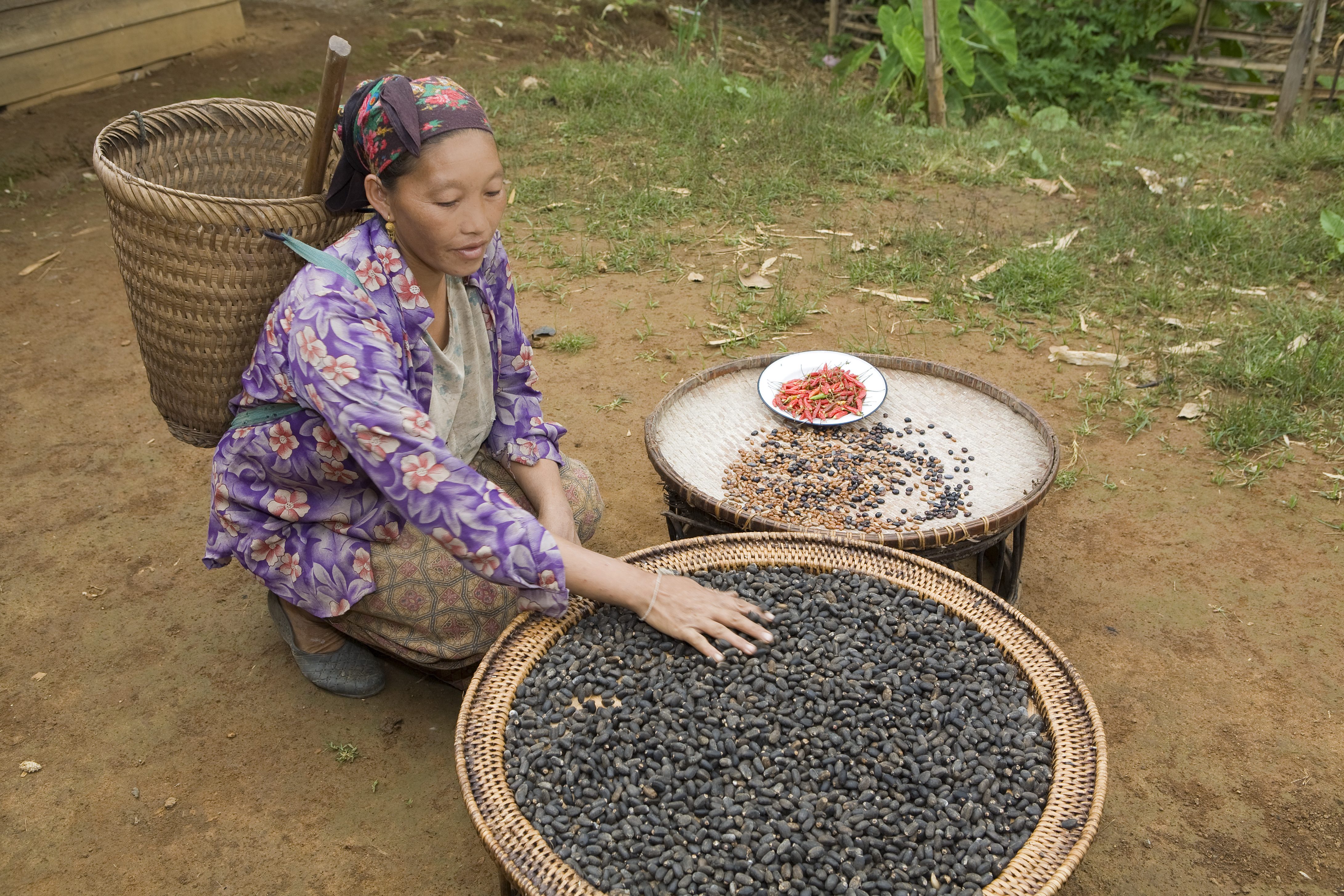 Werkzaamheden op het platteland van Laos