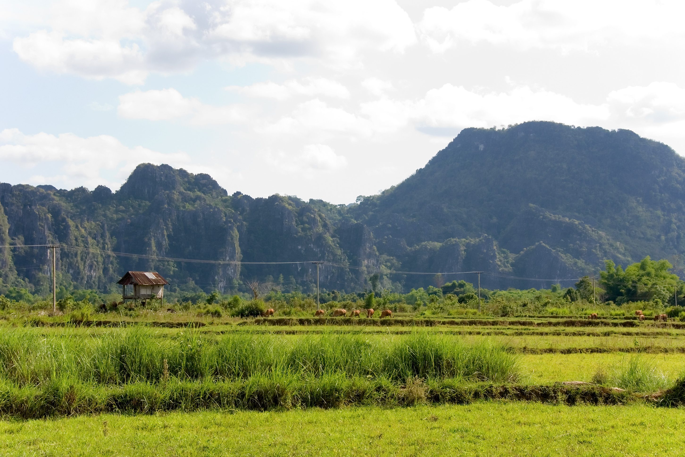 Platteland van Laos