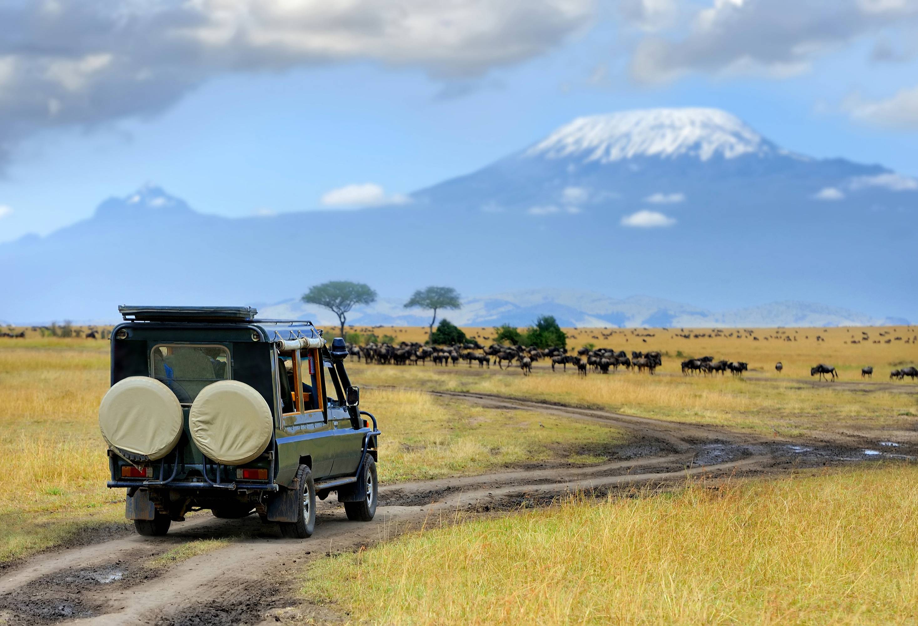 Op safari in Amboseli National Park, Kenia