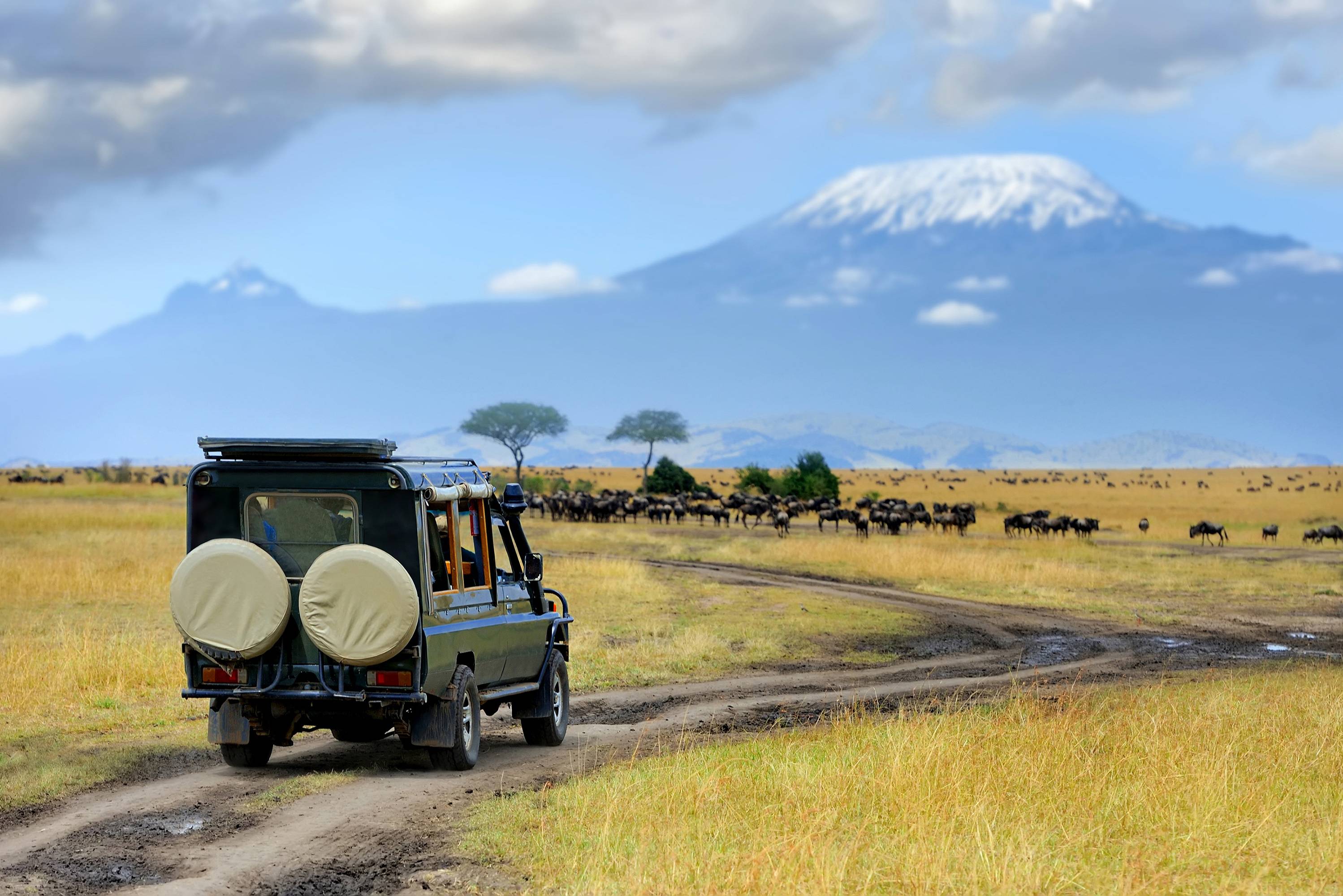 Op safari in het Amboseli National Park in Kenia