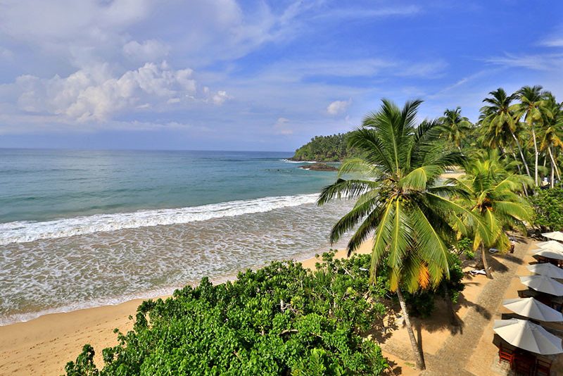 Paradise Beach Hotel in Mirissa Sri Lanka