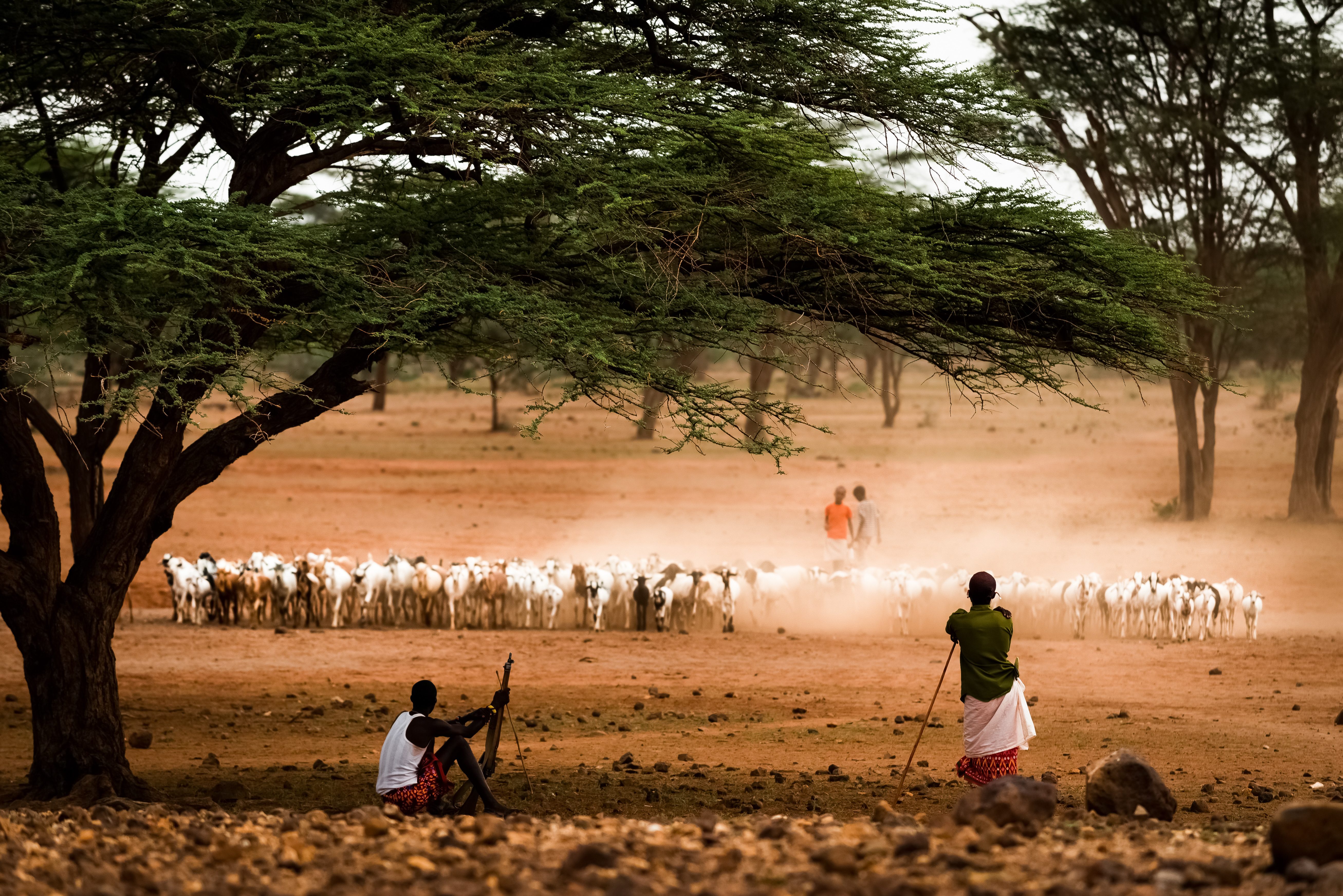 Samburu herders nabij Samburu National Reserve in Kenia