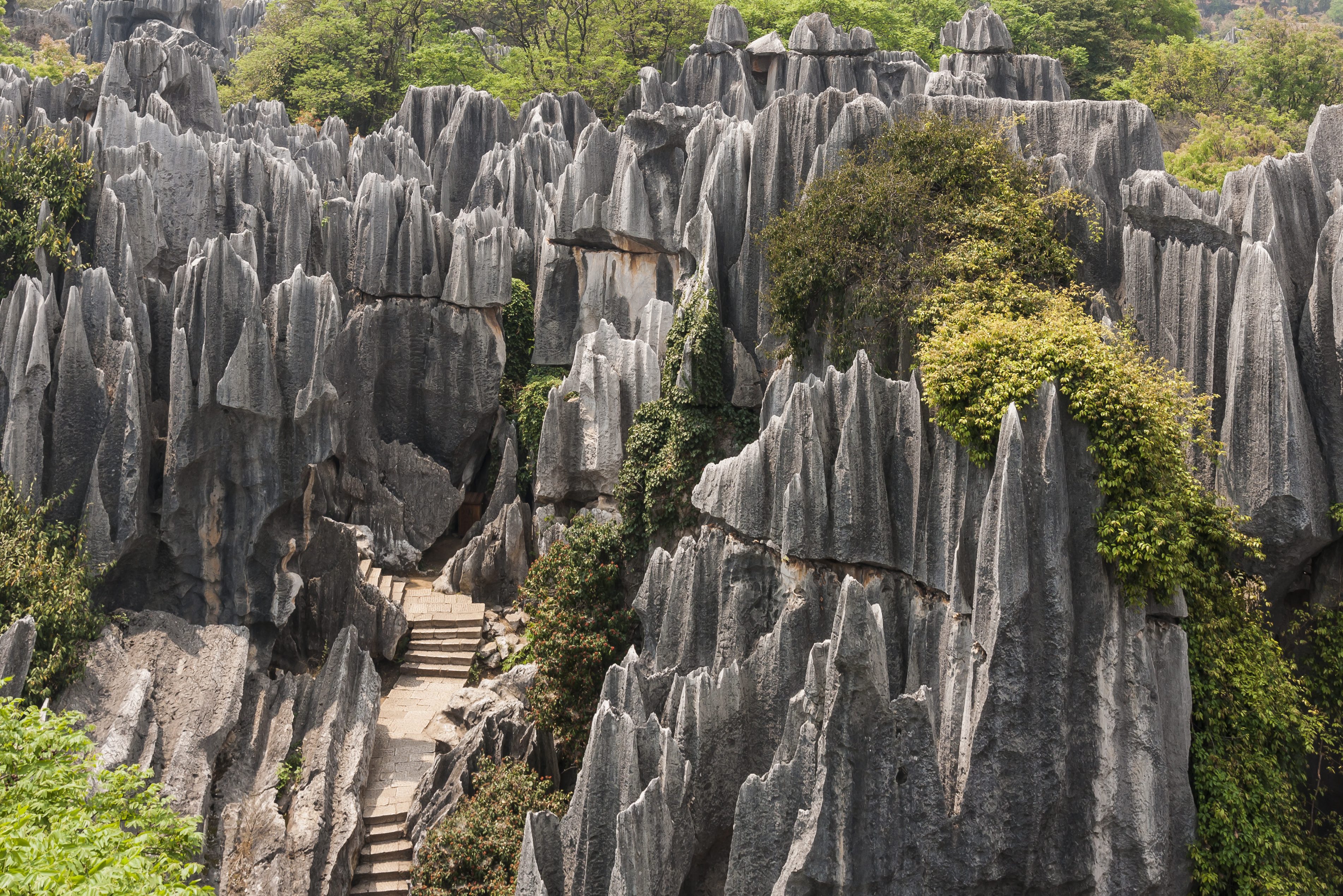 Stenen Woud in Kunming in Yunnan