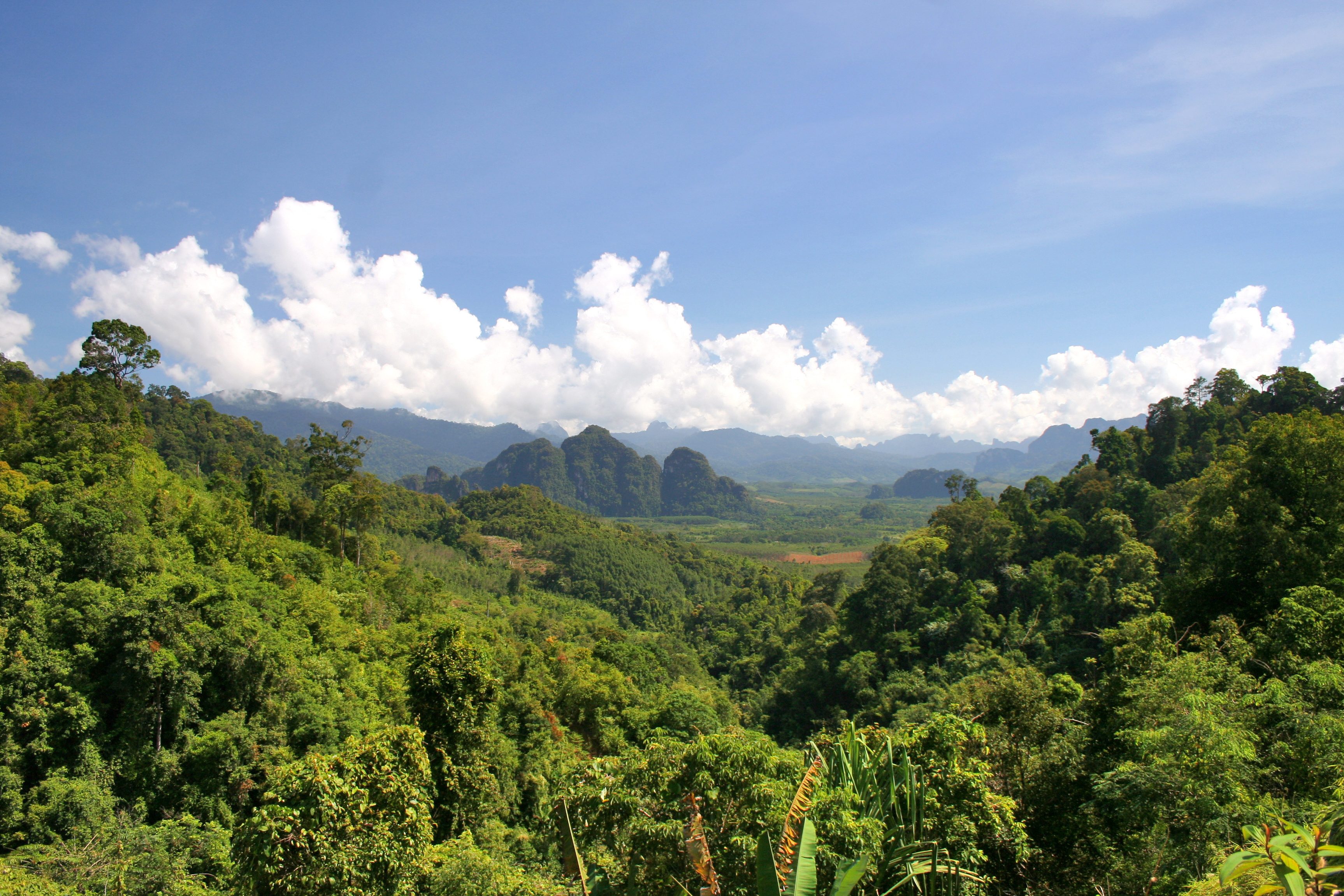 Khao Sok National Park in Thailand