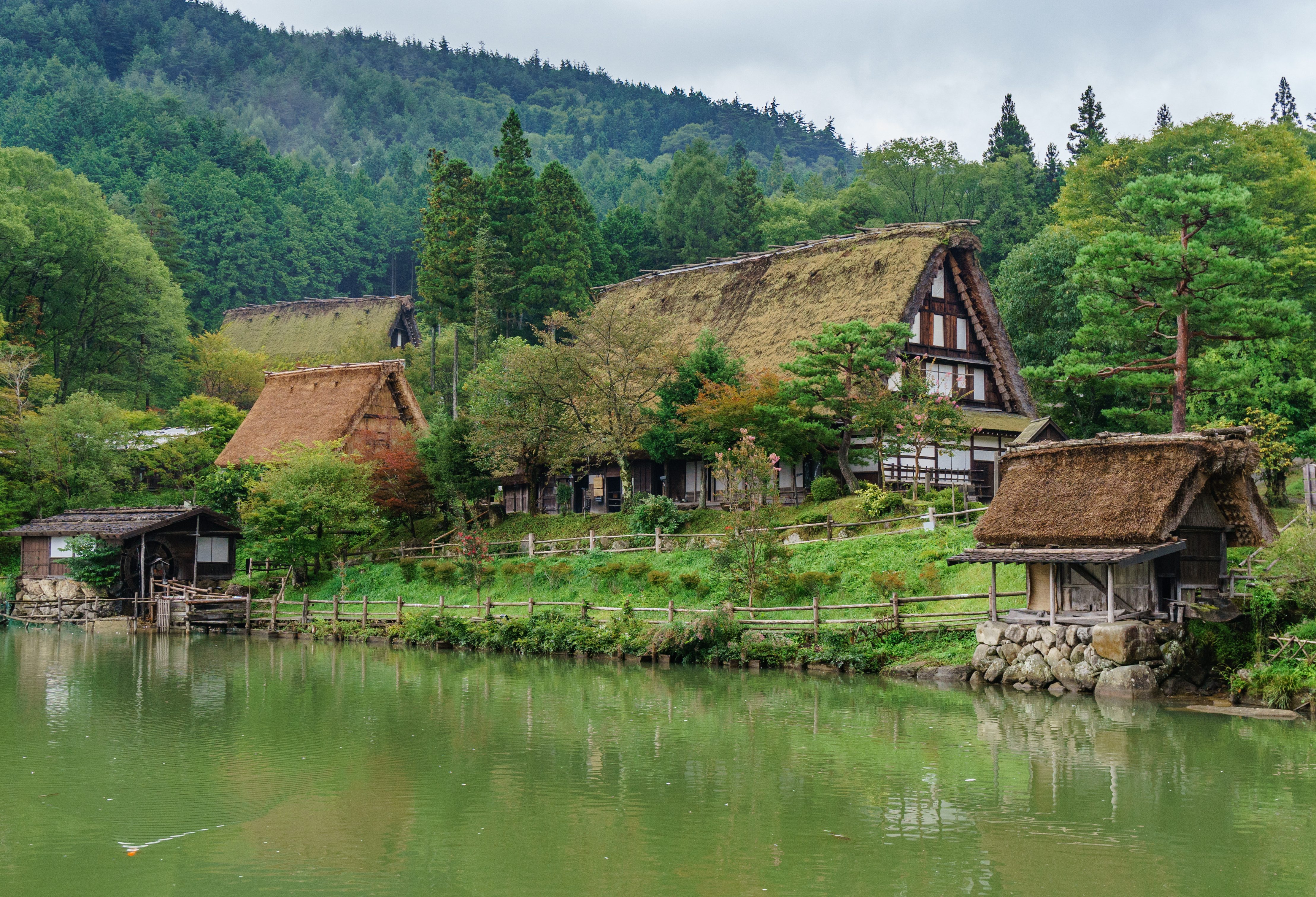 Takayama rieten daken