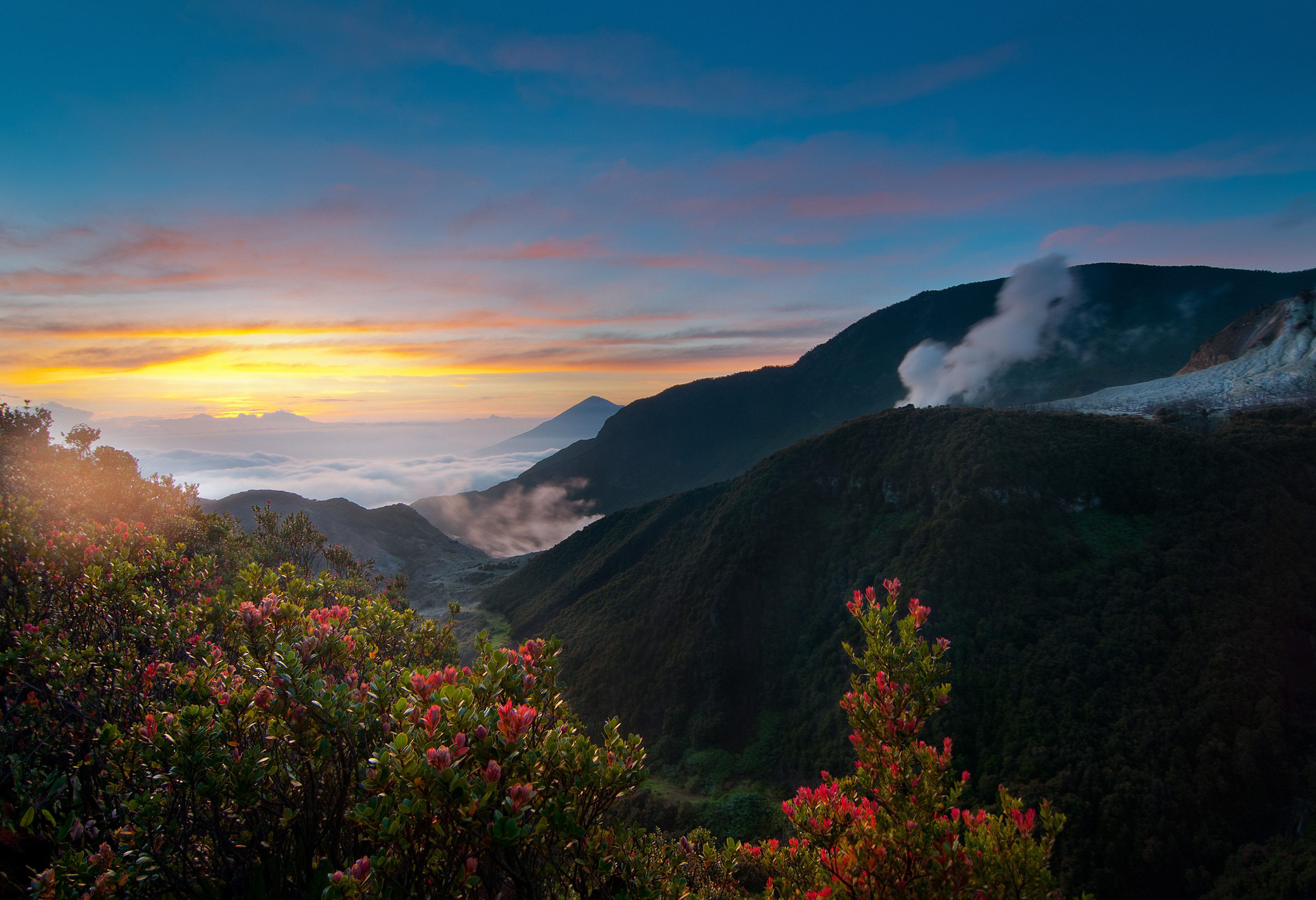 Mount papandayan Java