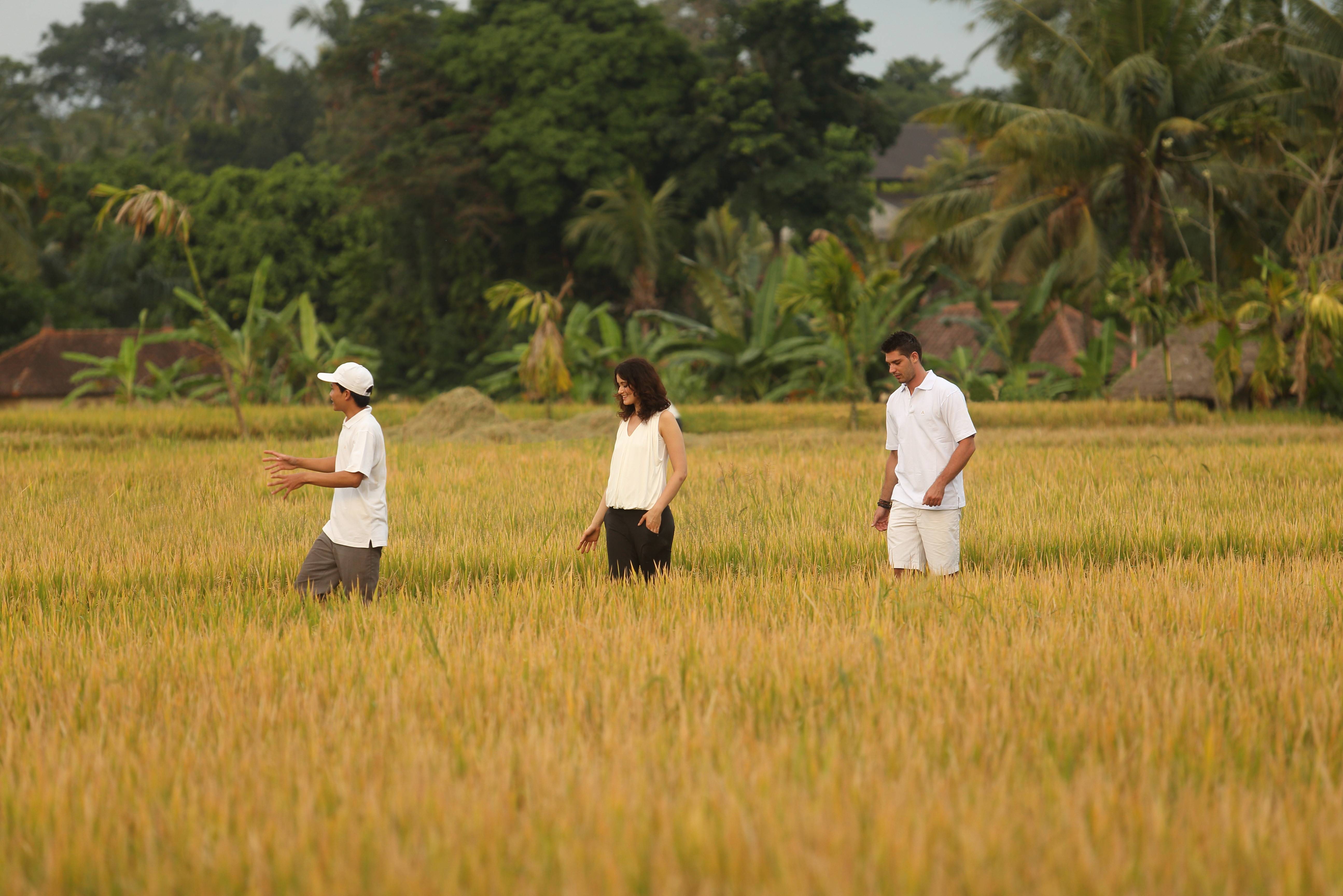 Wandelen door de rijstterrassen in Ubud op Bali