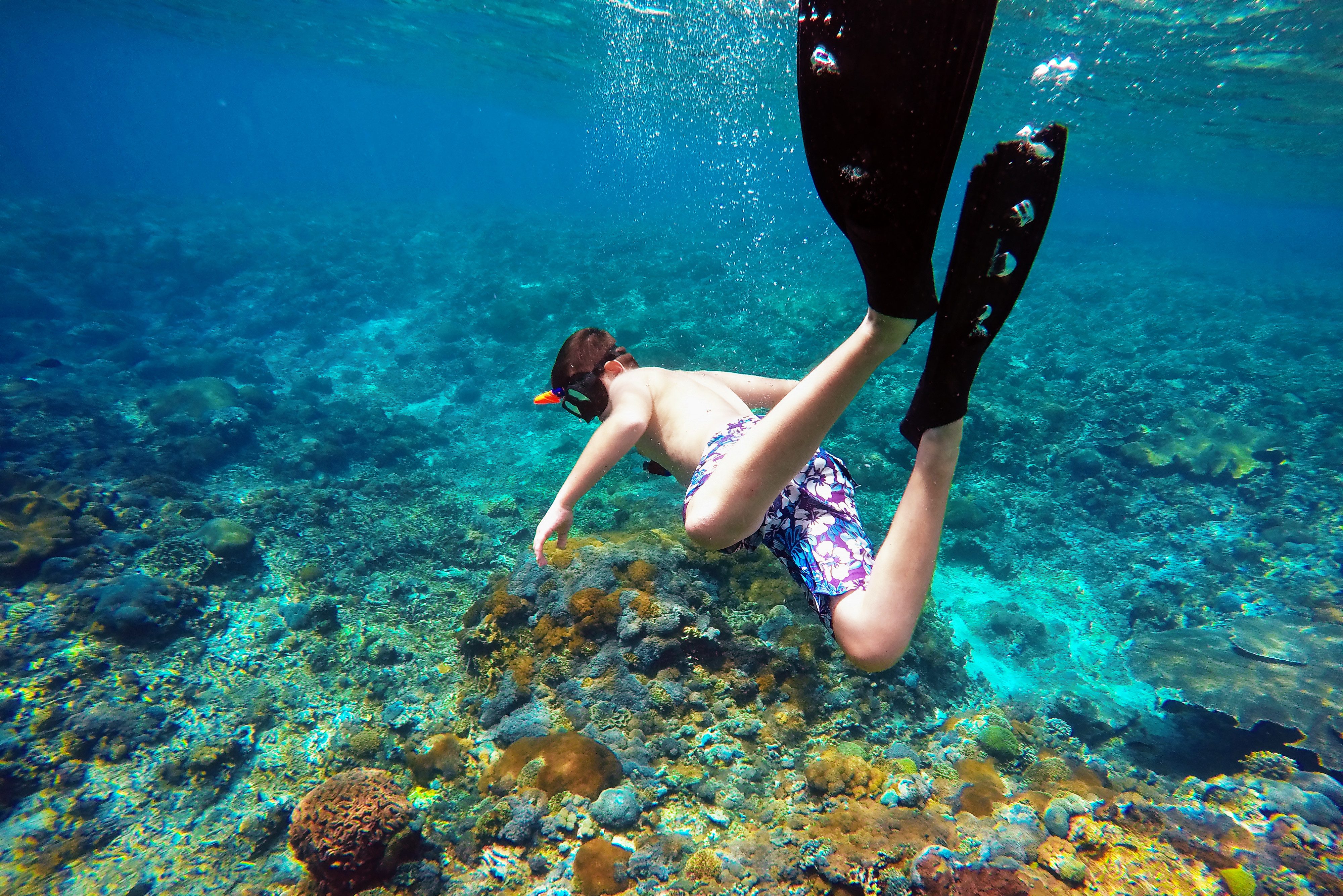 Snorkelen bij nusa Penida