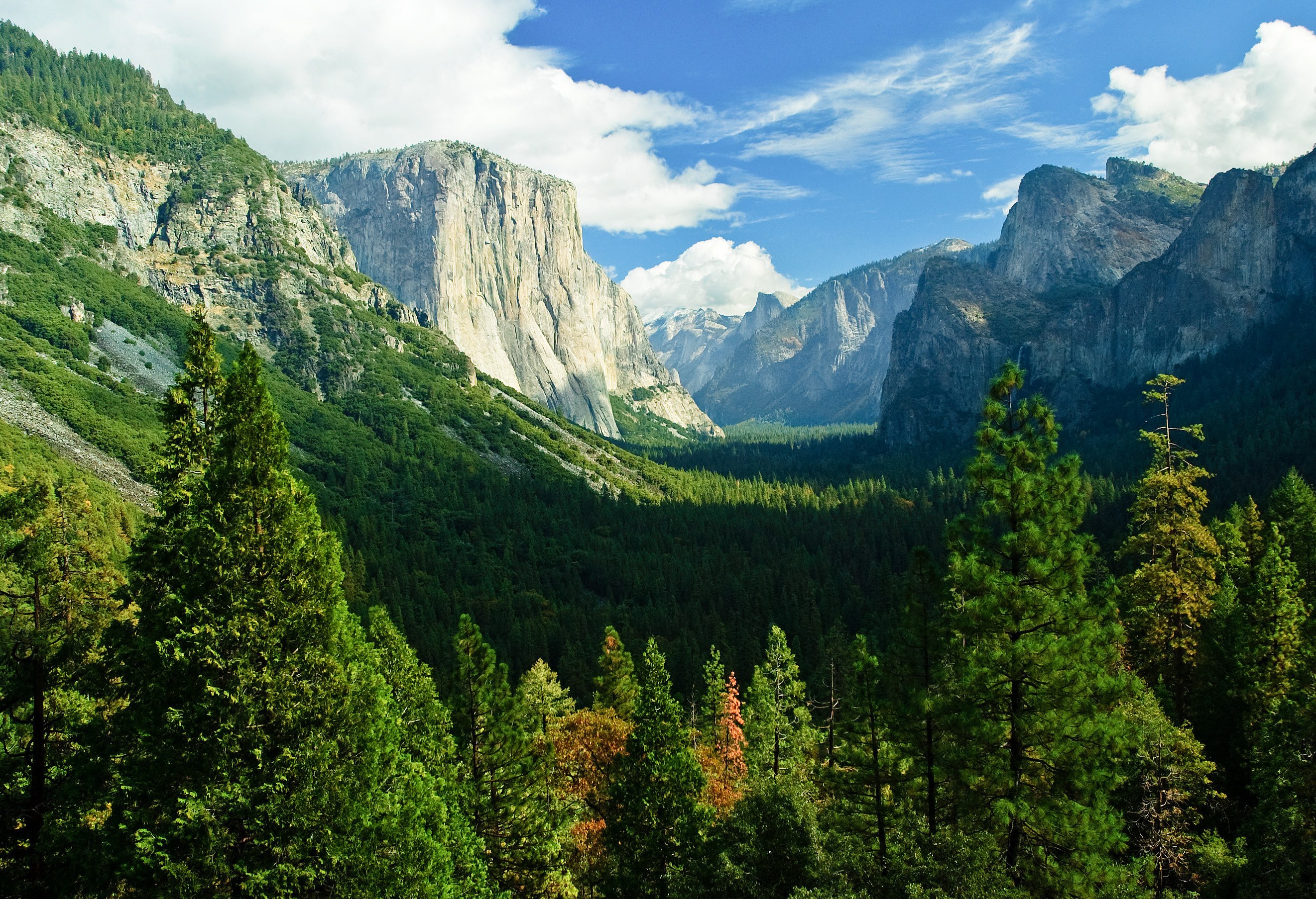 Yosemite National Park