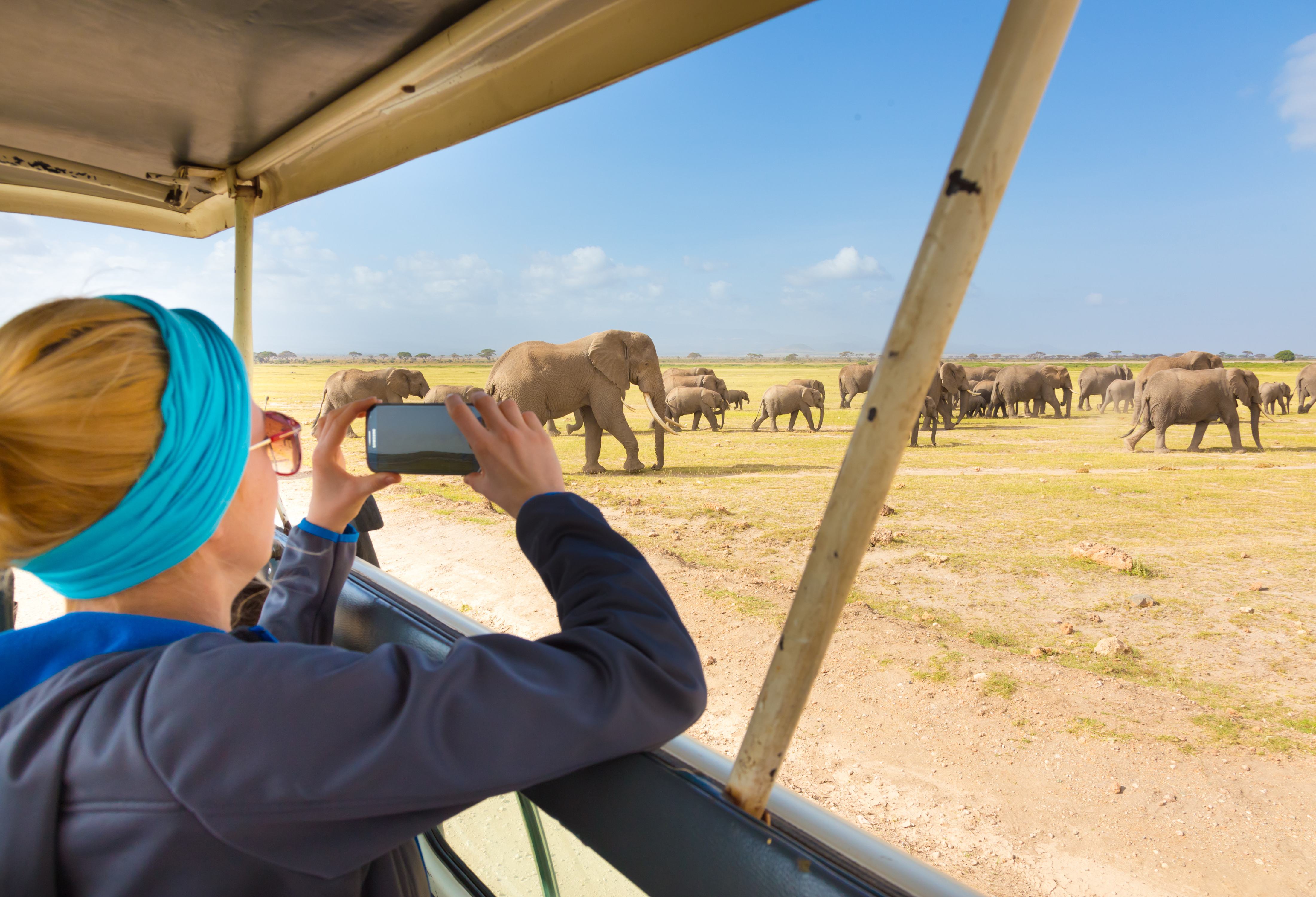 Game drive in Zuid-Afrika