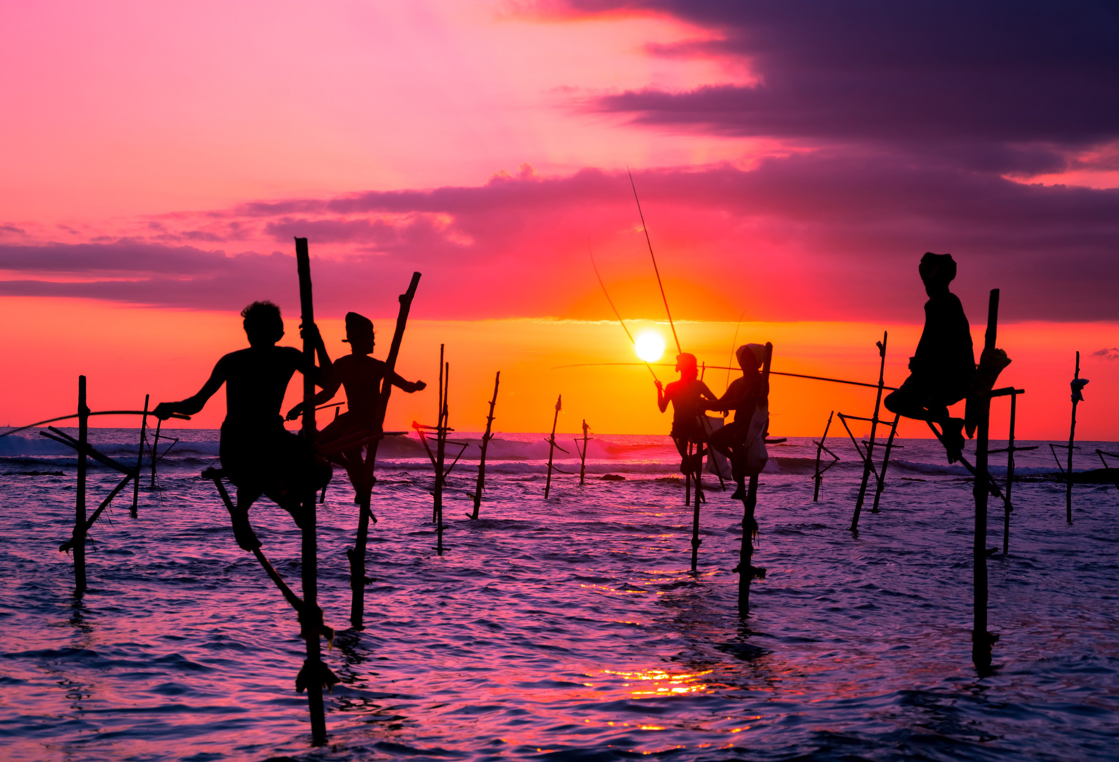 Paalvissers Sri Lanka