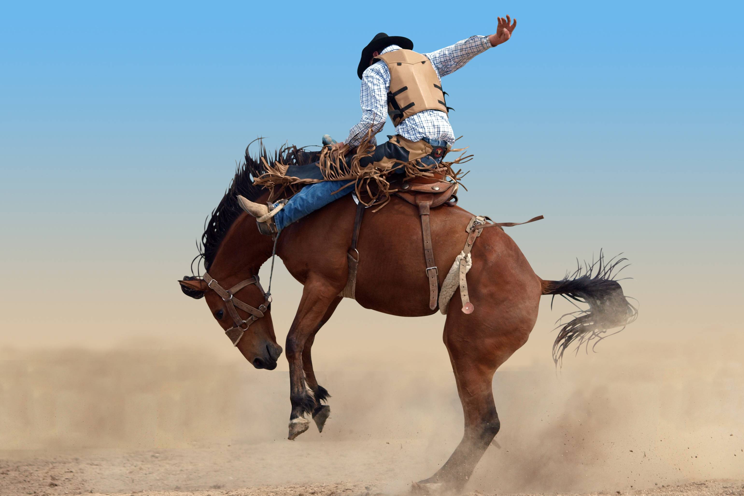 Rodeo Cowboy in Cody