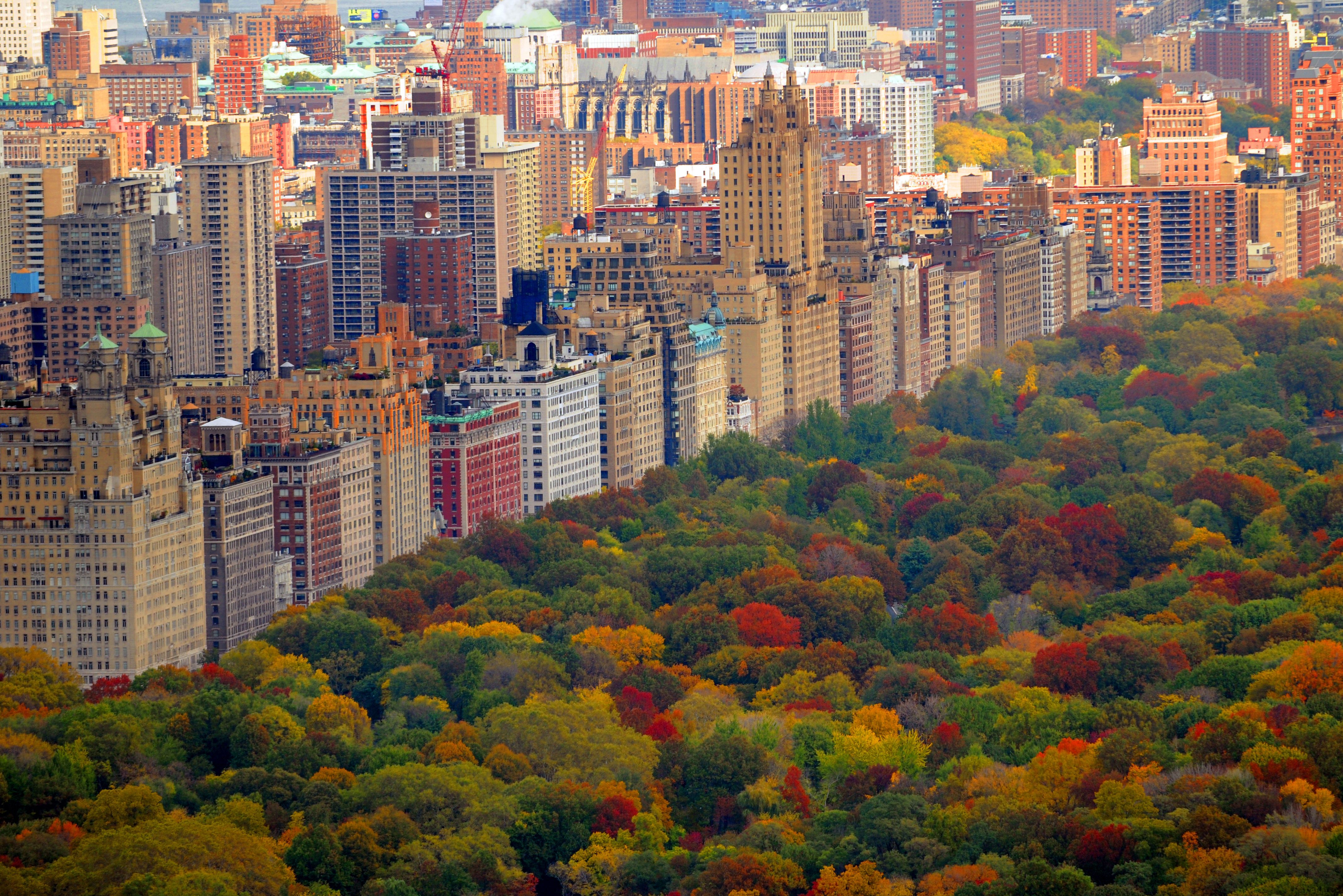 Central Park in Manhattan in New York