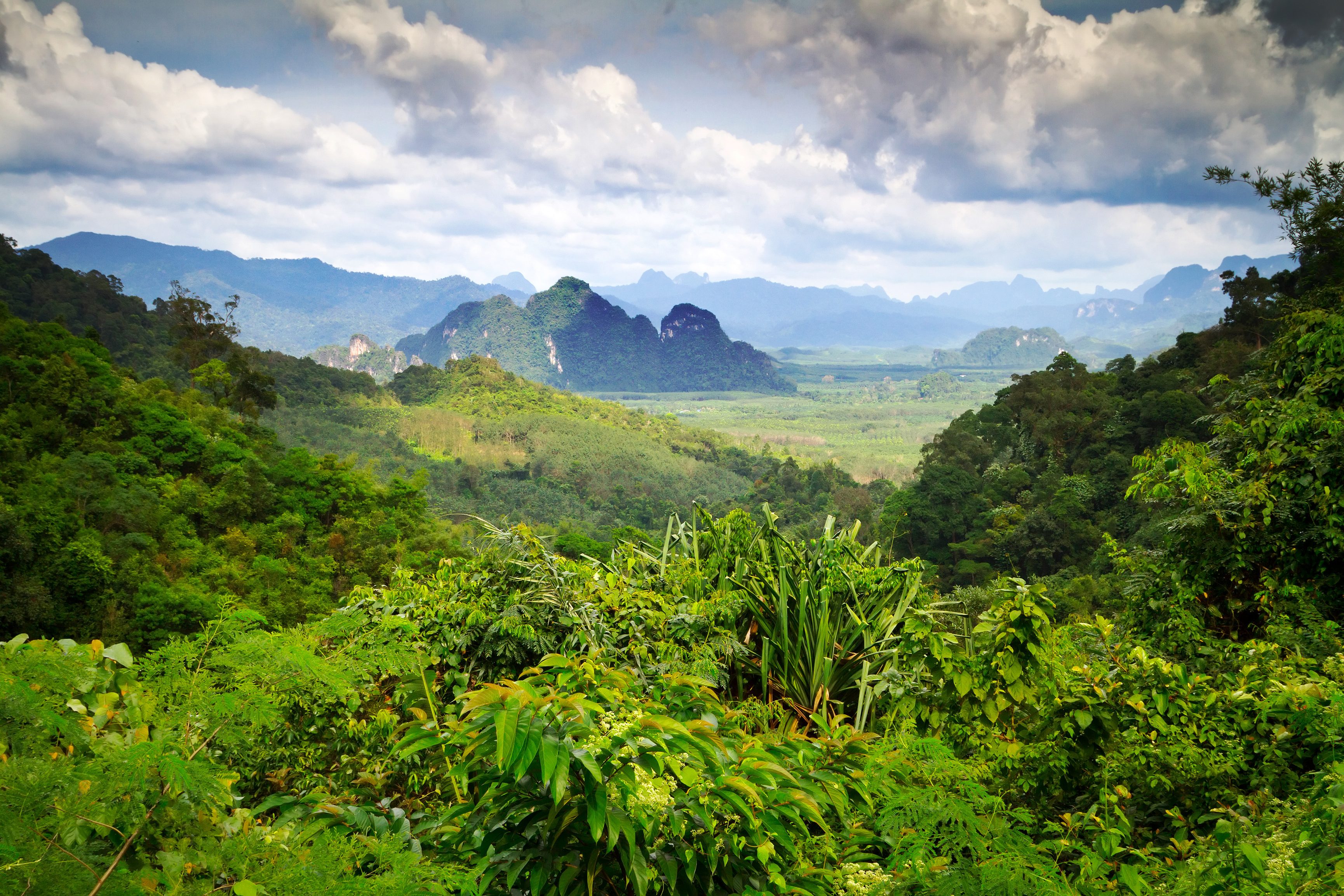 Uitzicht over het Khao Sok National Park in Thailand