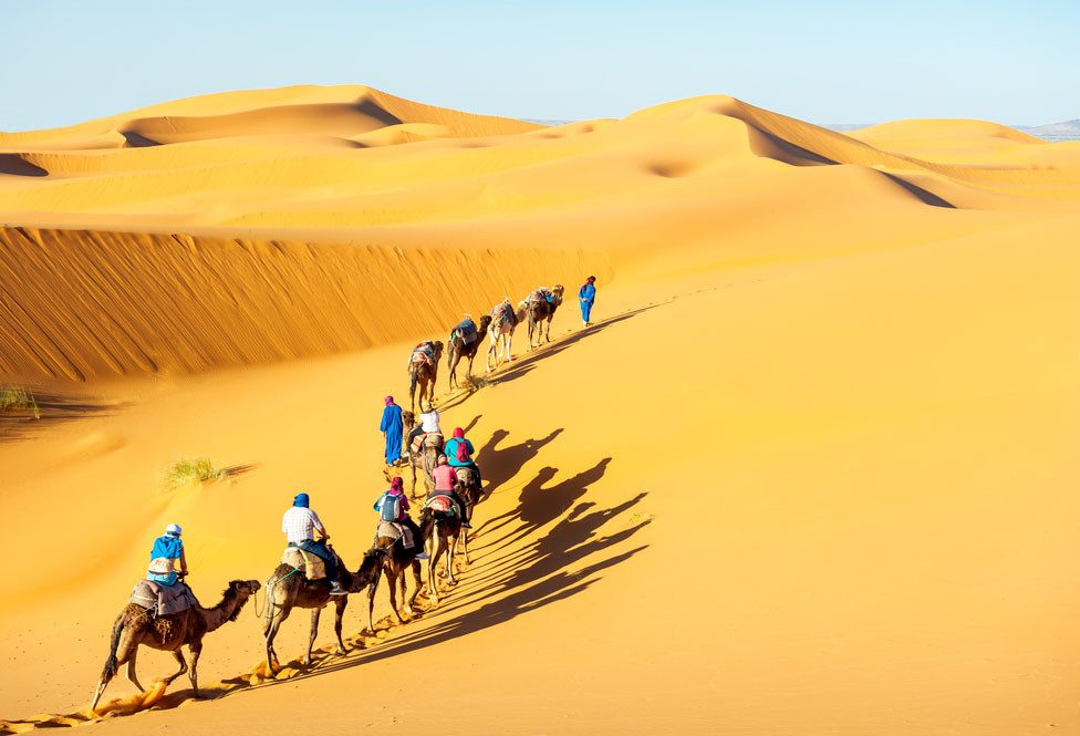Kameel safari in Jaisalmer