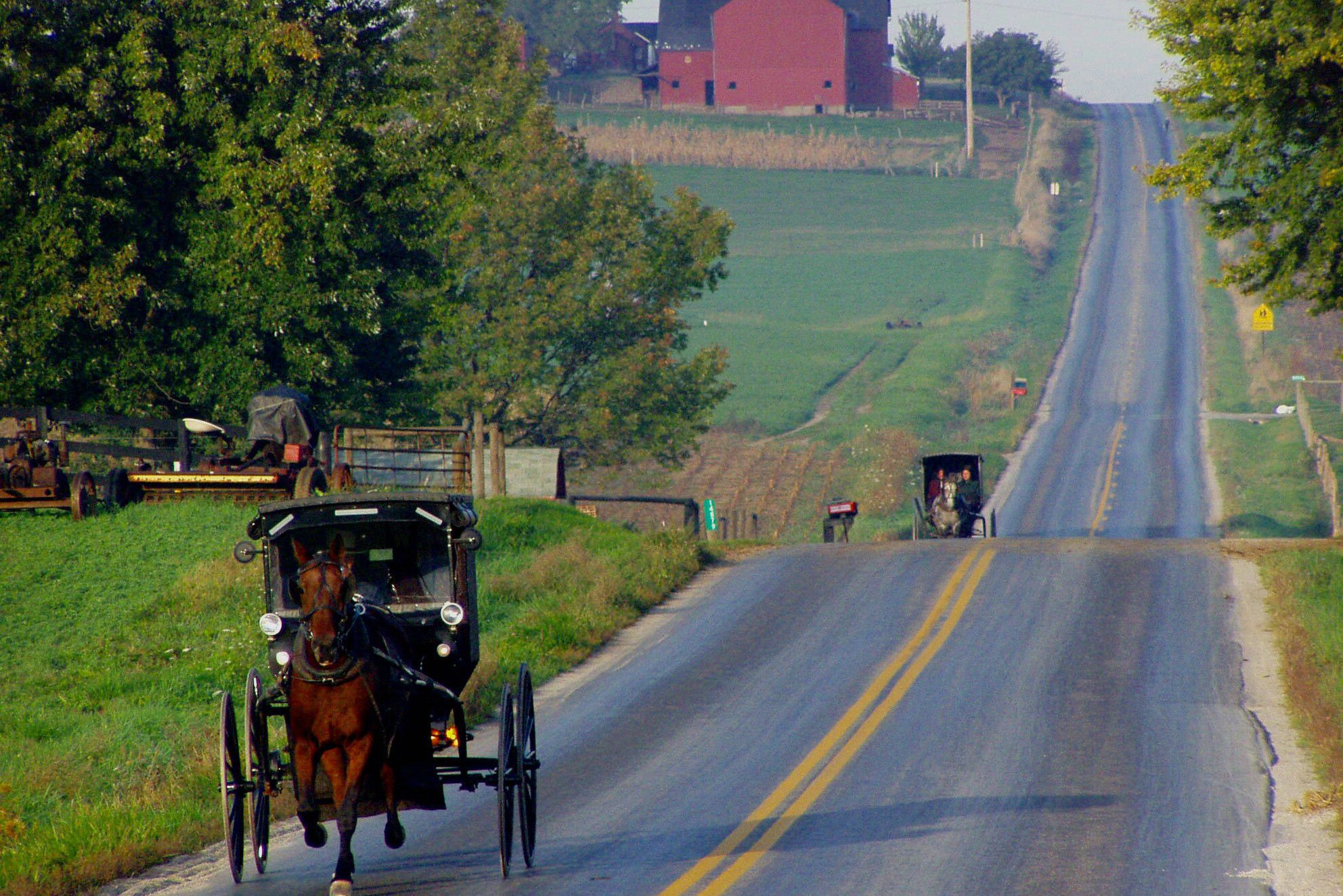 Amish country in Bird in Hand in Amerika
