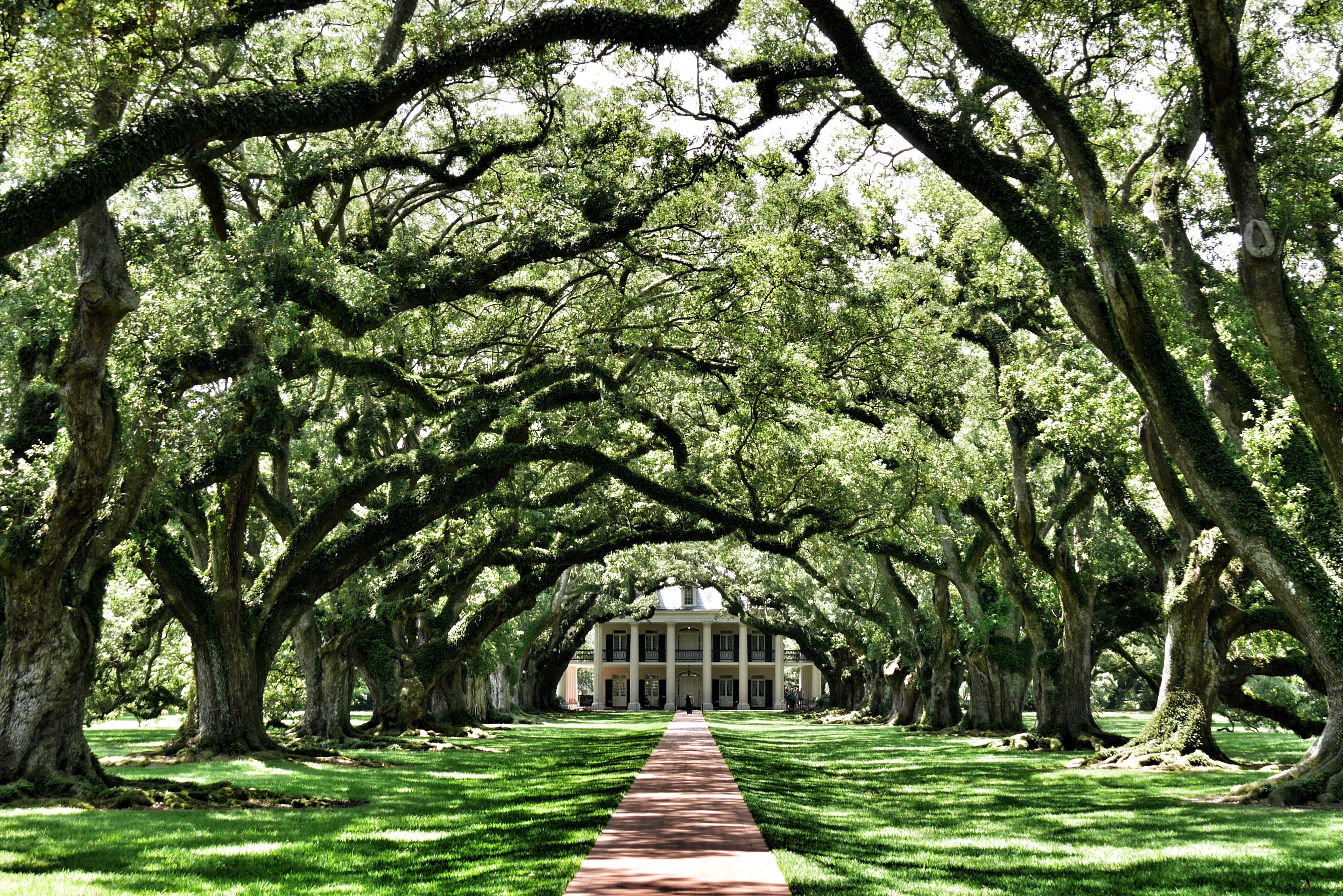 PLantation in Savannah Georgia