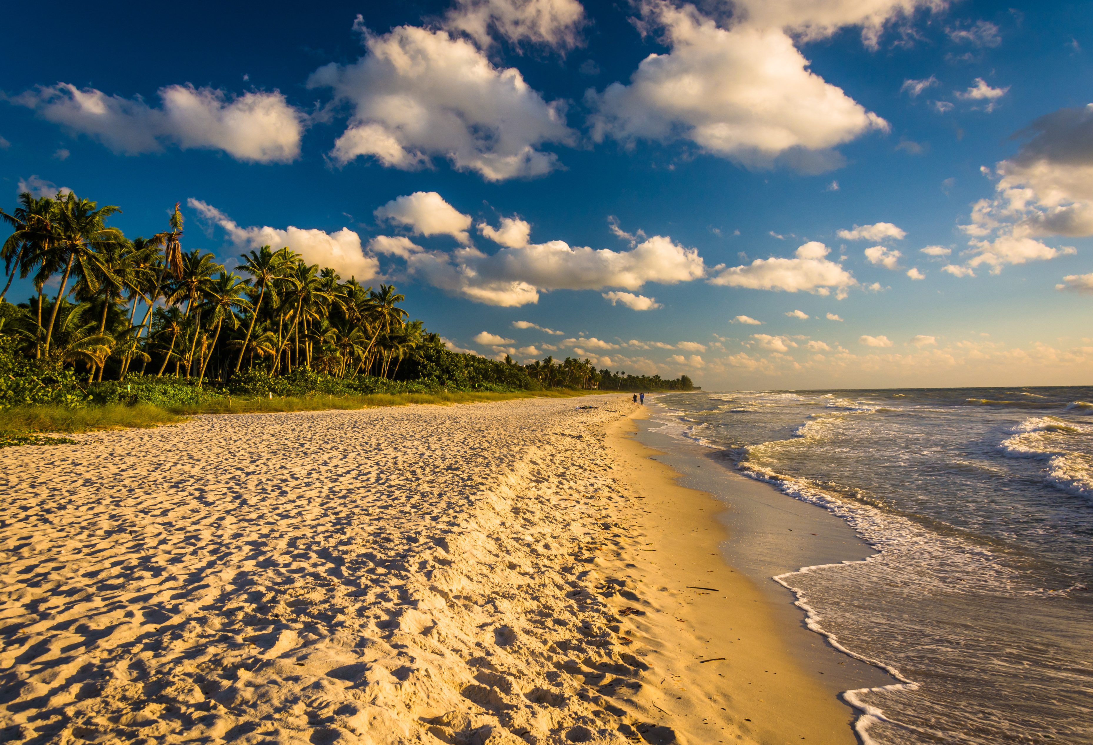 Naples strand in Florida in Amerika