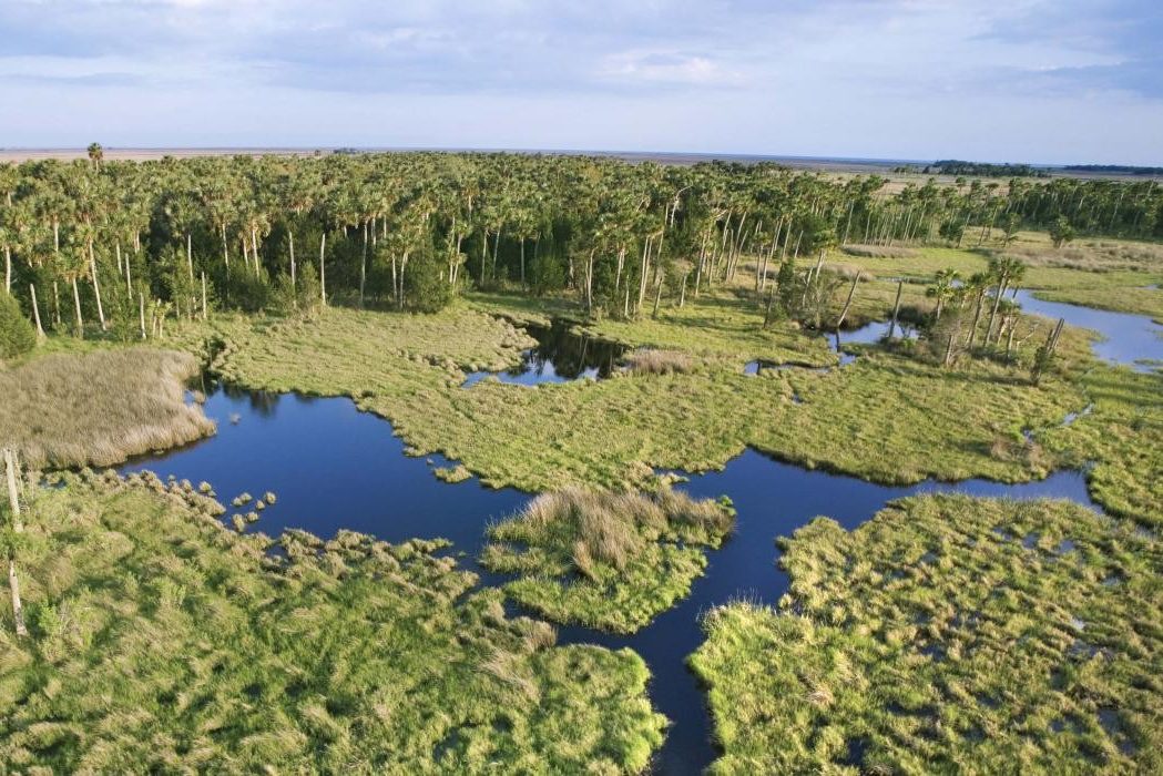 Everglades National Park in Florida