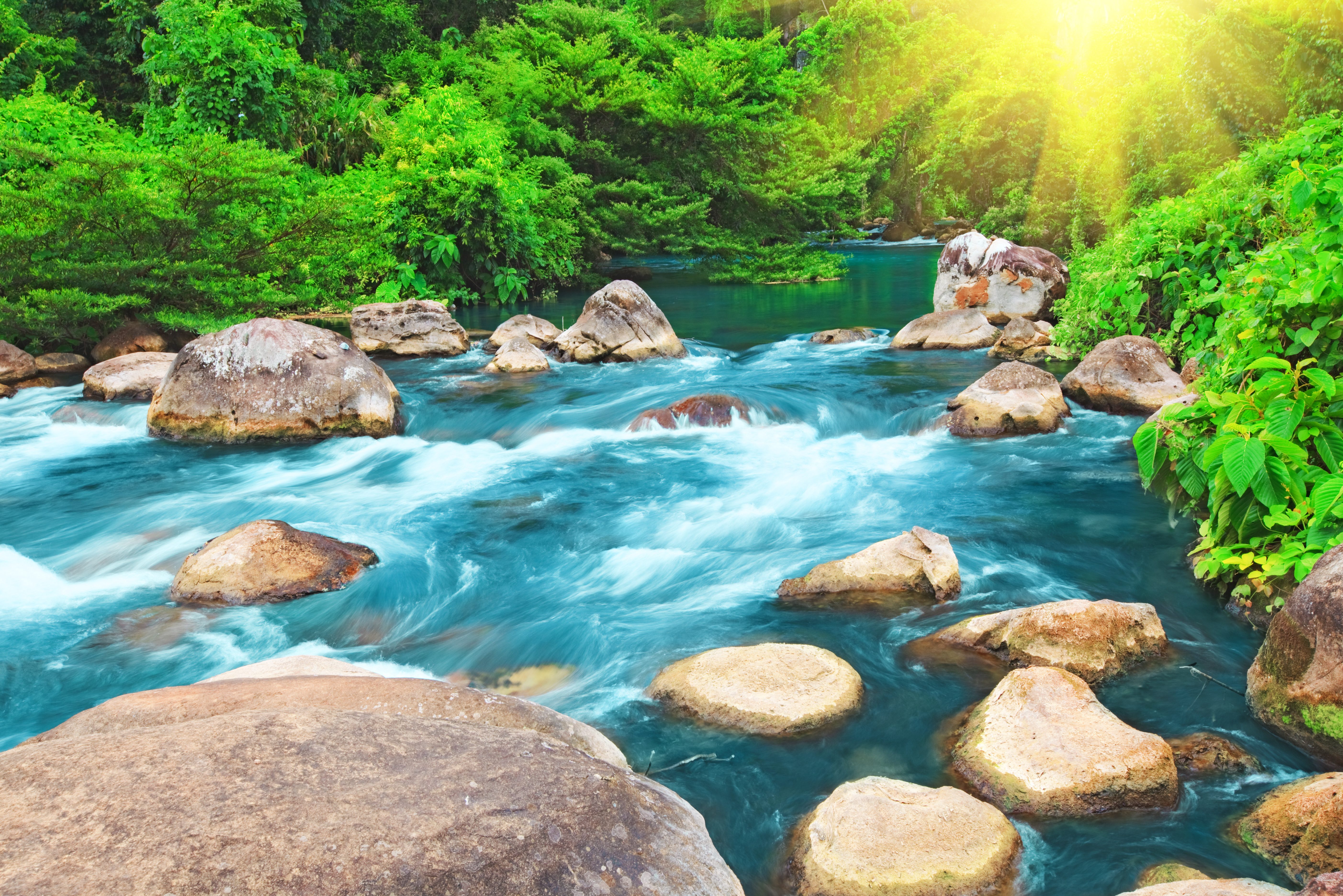 Natuur in het Phong Nha Ke Bang National Park in Vietnam