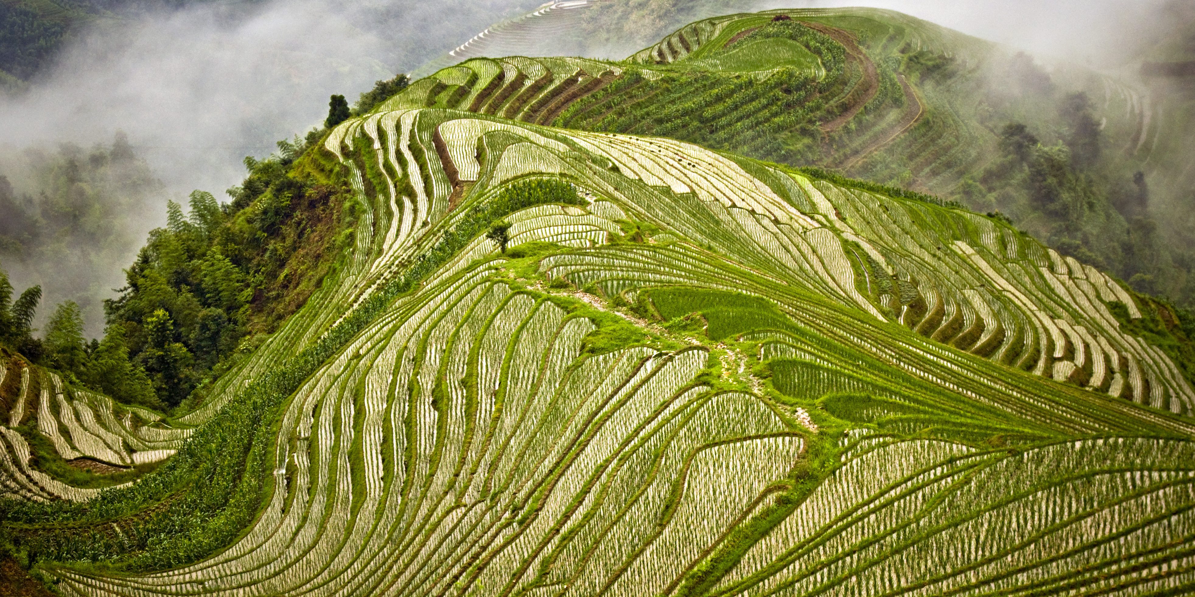 Drakensrugrijstvelden Pingan China